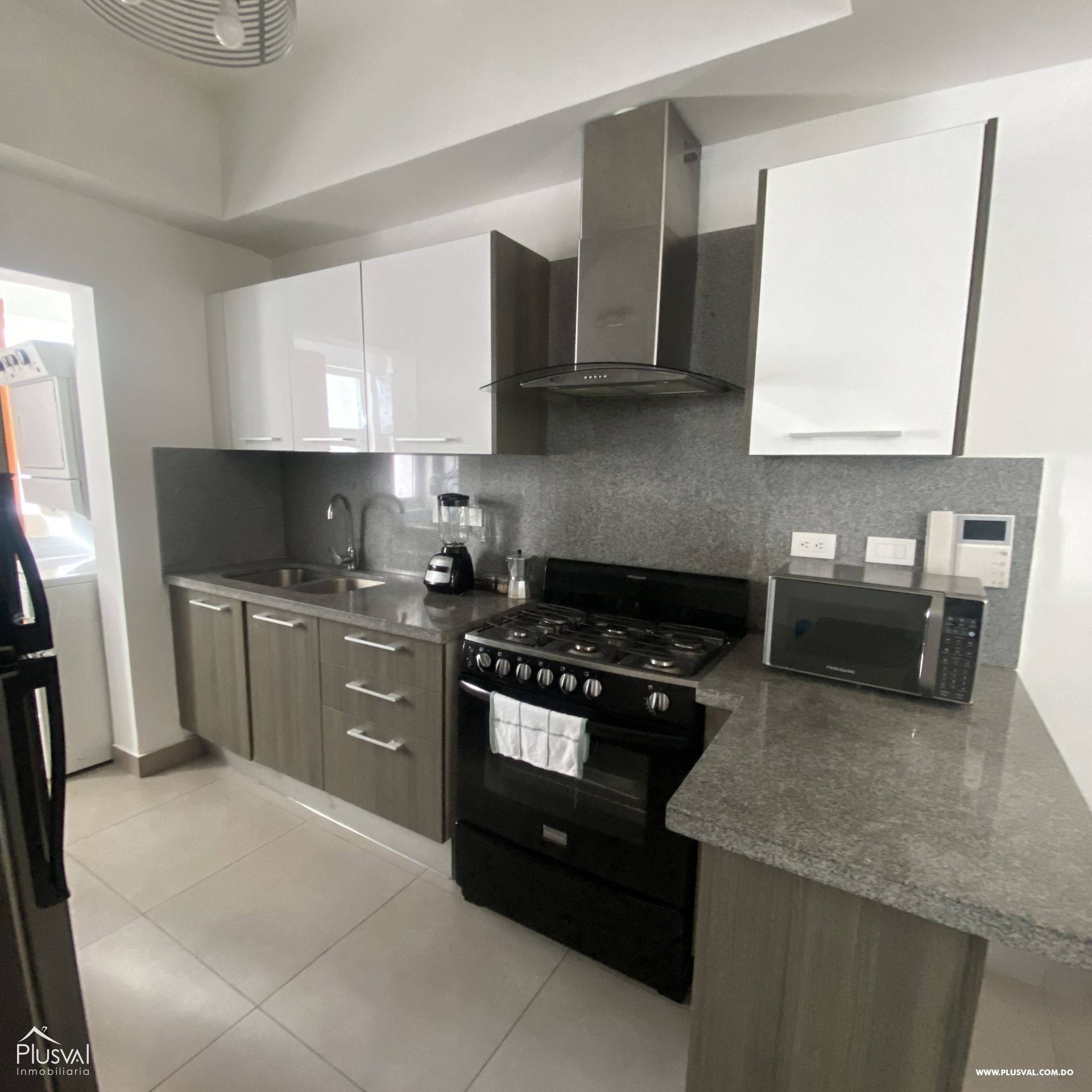 Alquiler de moderno apartamento amueblado en Naco 312352