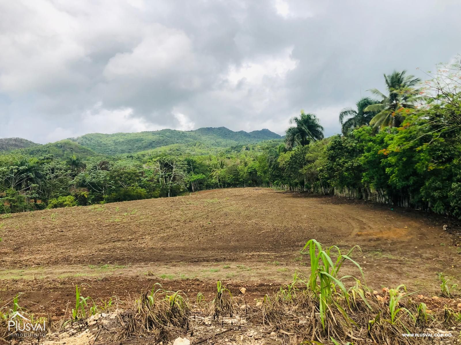 Terreno para hacienda en Monte Plata 464114