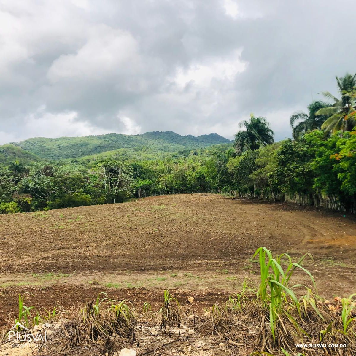 Terreno para hacienda en Monte Plata 464114