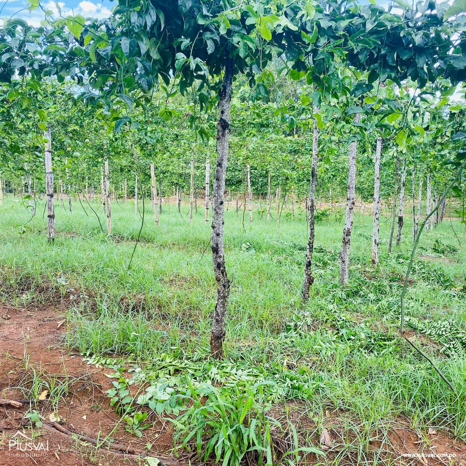 Venta de Finca Agrícola y Minera en Cotuí 232845
