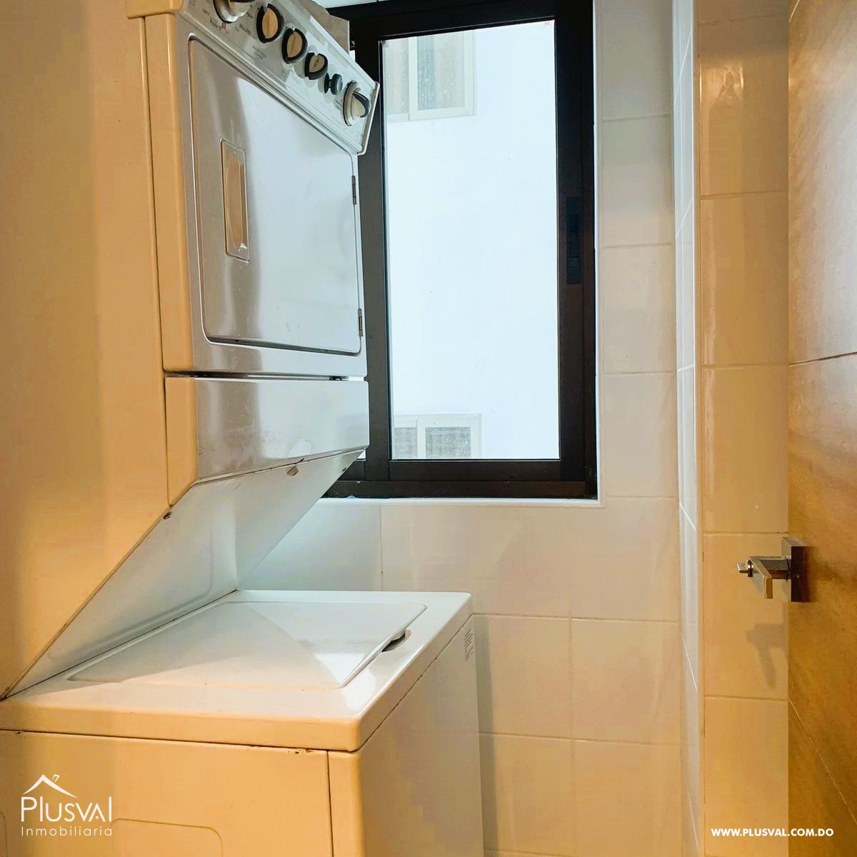 Apartamento en Naco amueblado en alquiler 392527