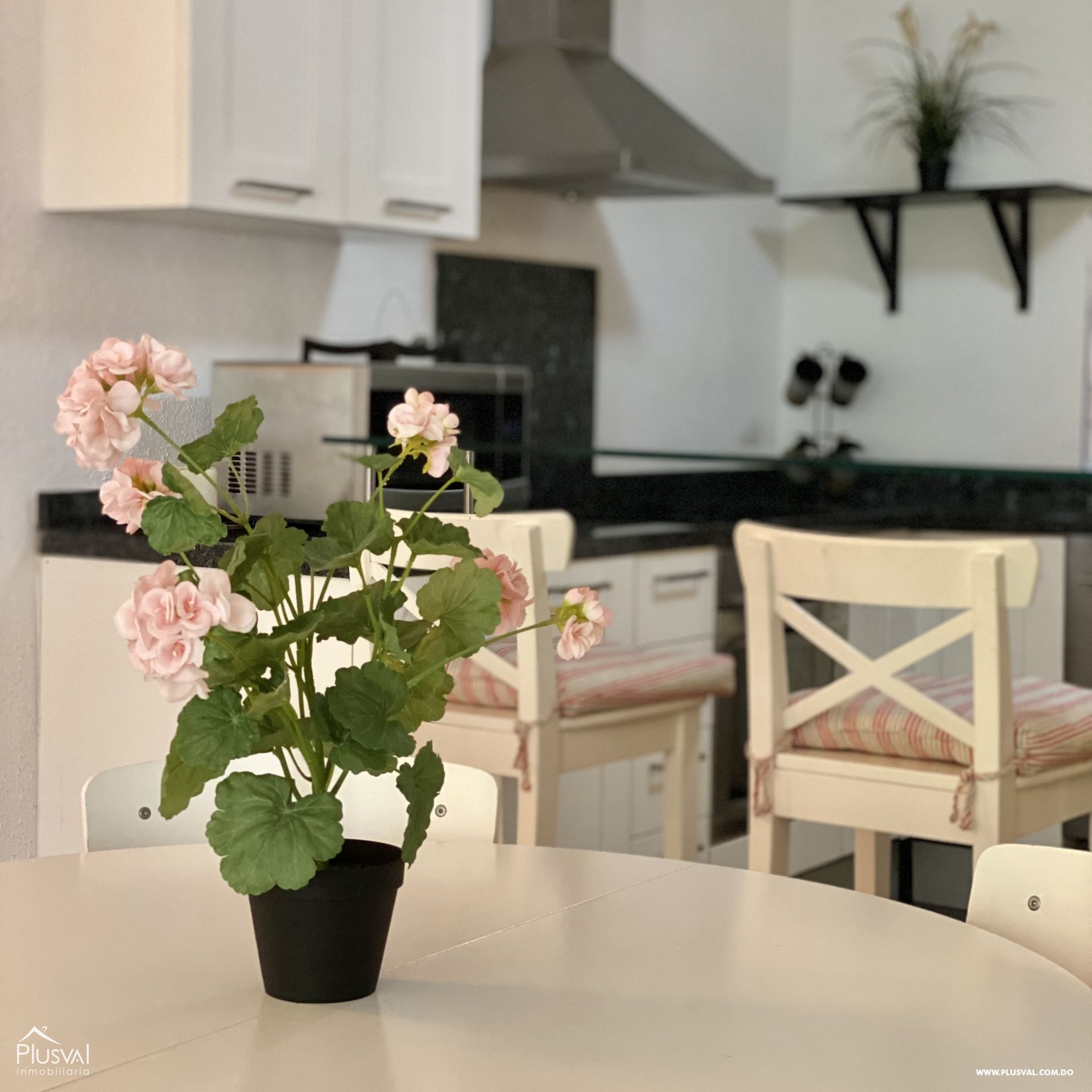 Apartamento en venta  en Guavaberry, ideal para inversión 191919