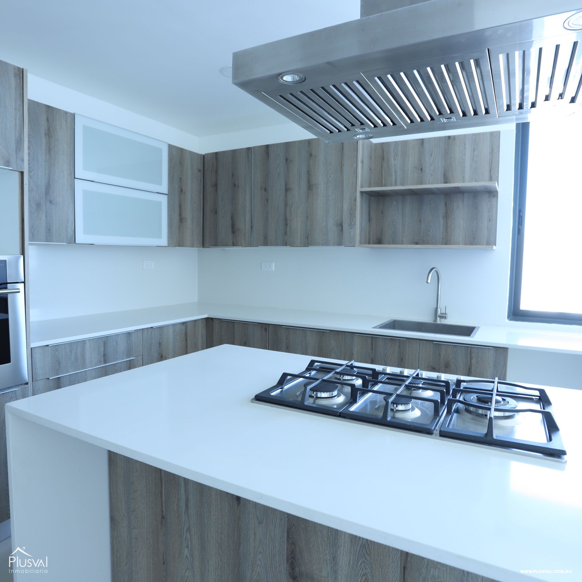 Apartamento Pent-House en Piso 10 con Hermosas Vistas en LIVERA, Santiago 322036
