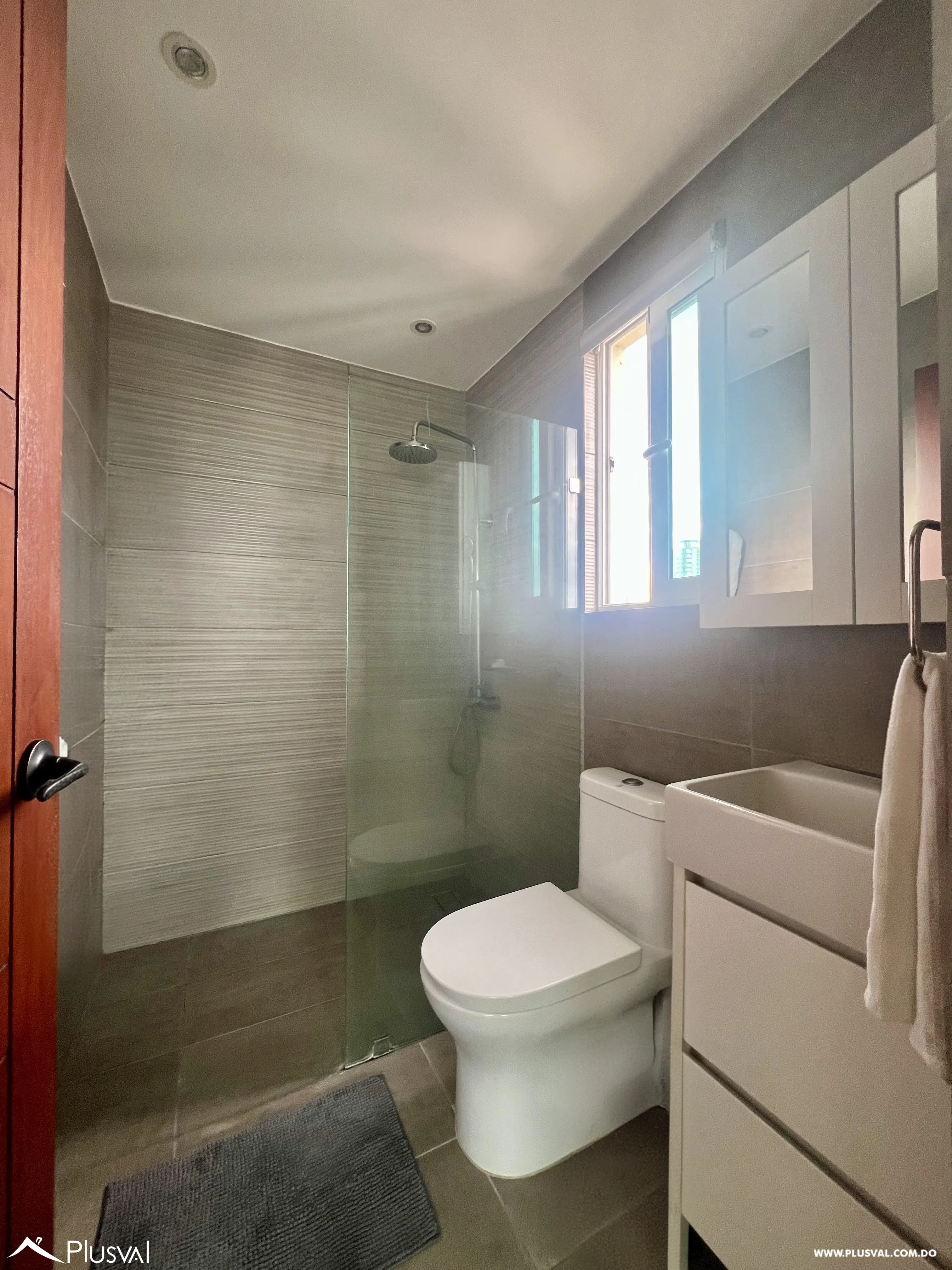 enthouse en alquiler en Naco amueblado con 3 habitaciones 486328