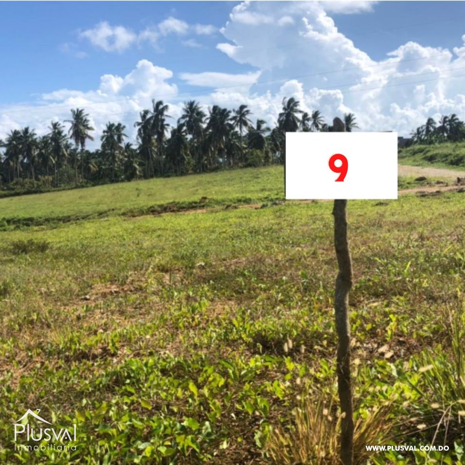 Venta de solares en Sánchez 239122