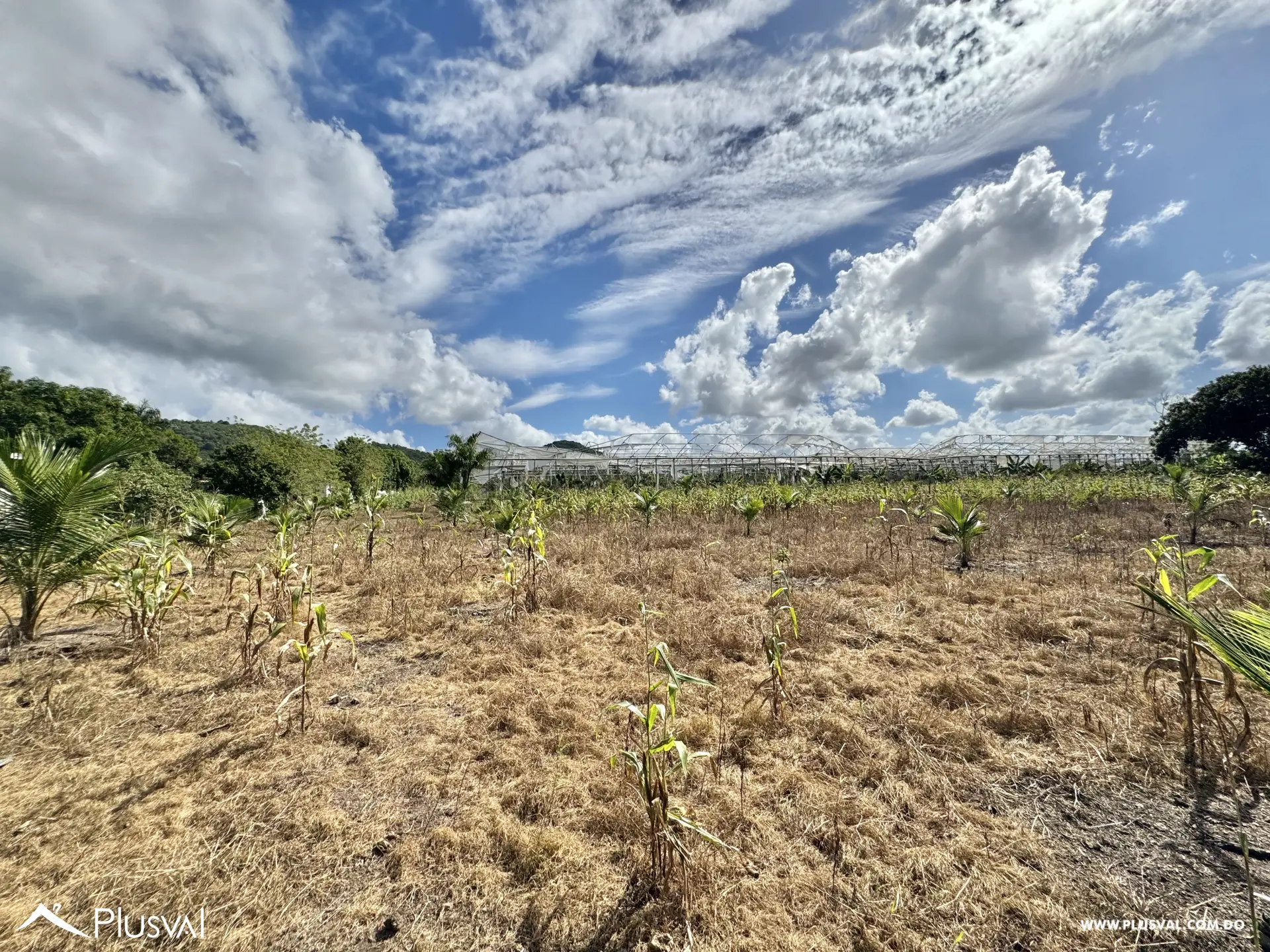 Vendo Maravillosa Finca con Importantes Mejoras en Pedro barnd 479783