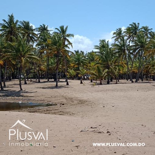 Terreno en primera linea de playa en Nagua 266764