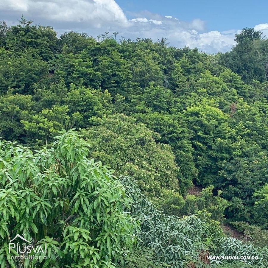 Finca de frutales en Yaguate, San Cristóbal 397862