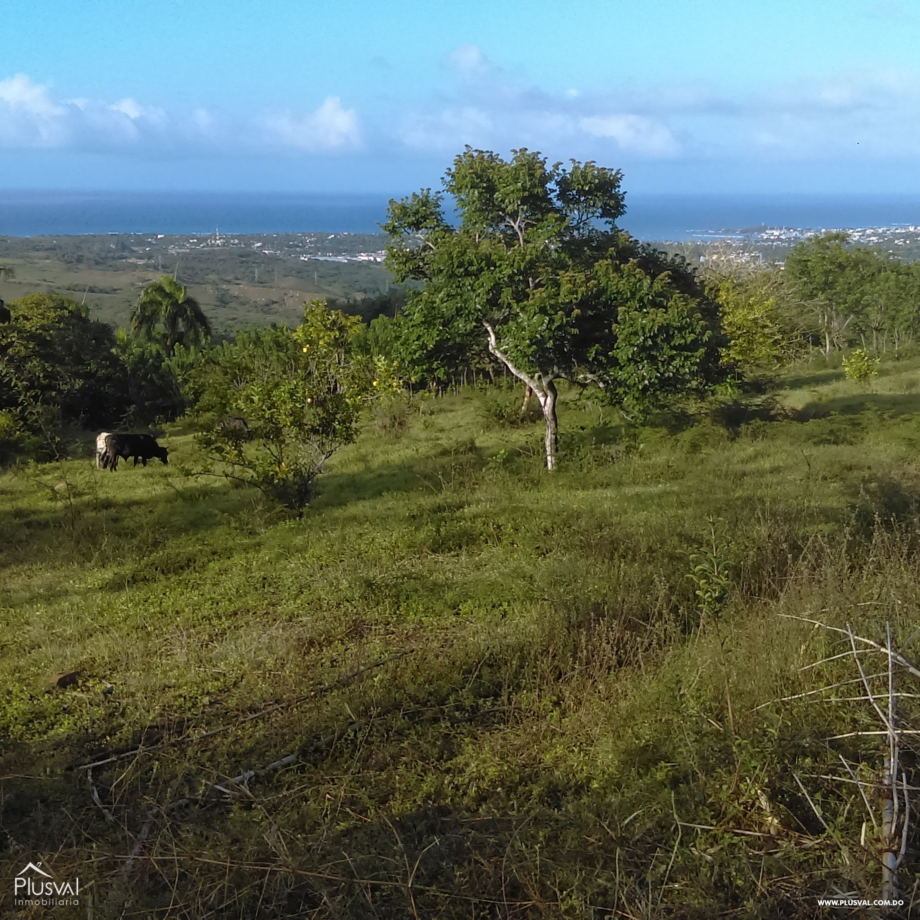 Solares en venta para villas con hermosas vistas en Puerto Plata. 362274