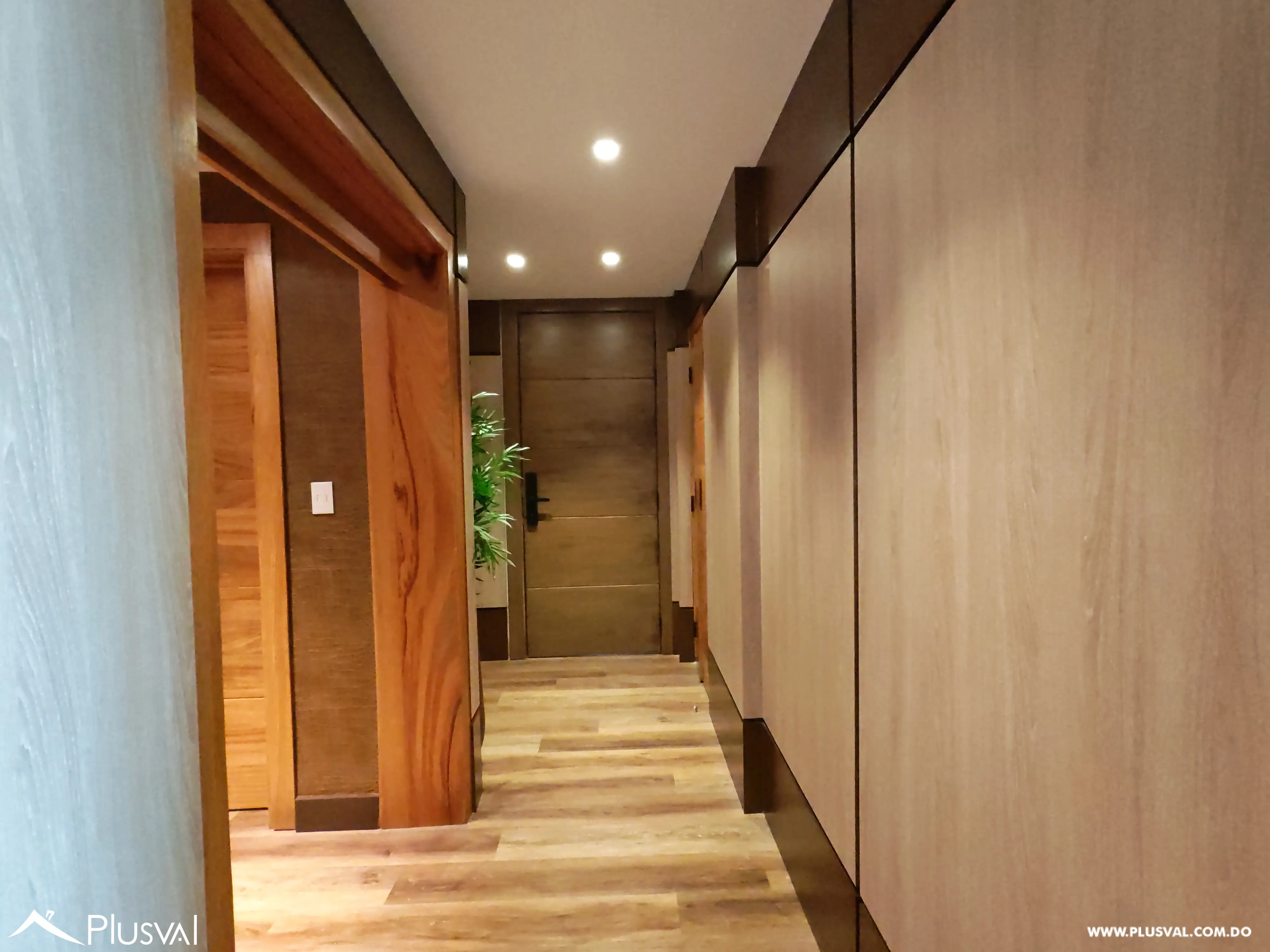 Lujoso Apartamento en alquiler en Piantini 492903