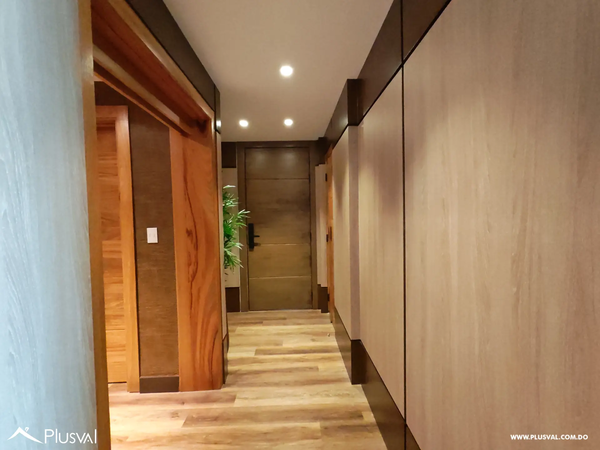Lujoso Apartamento en alquiler en Piantini 492903