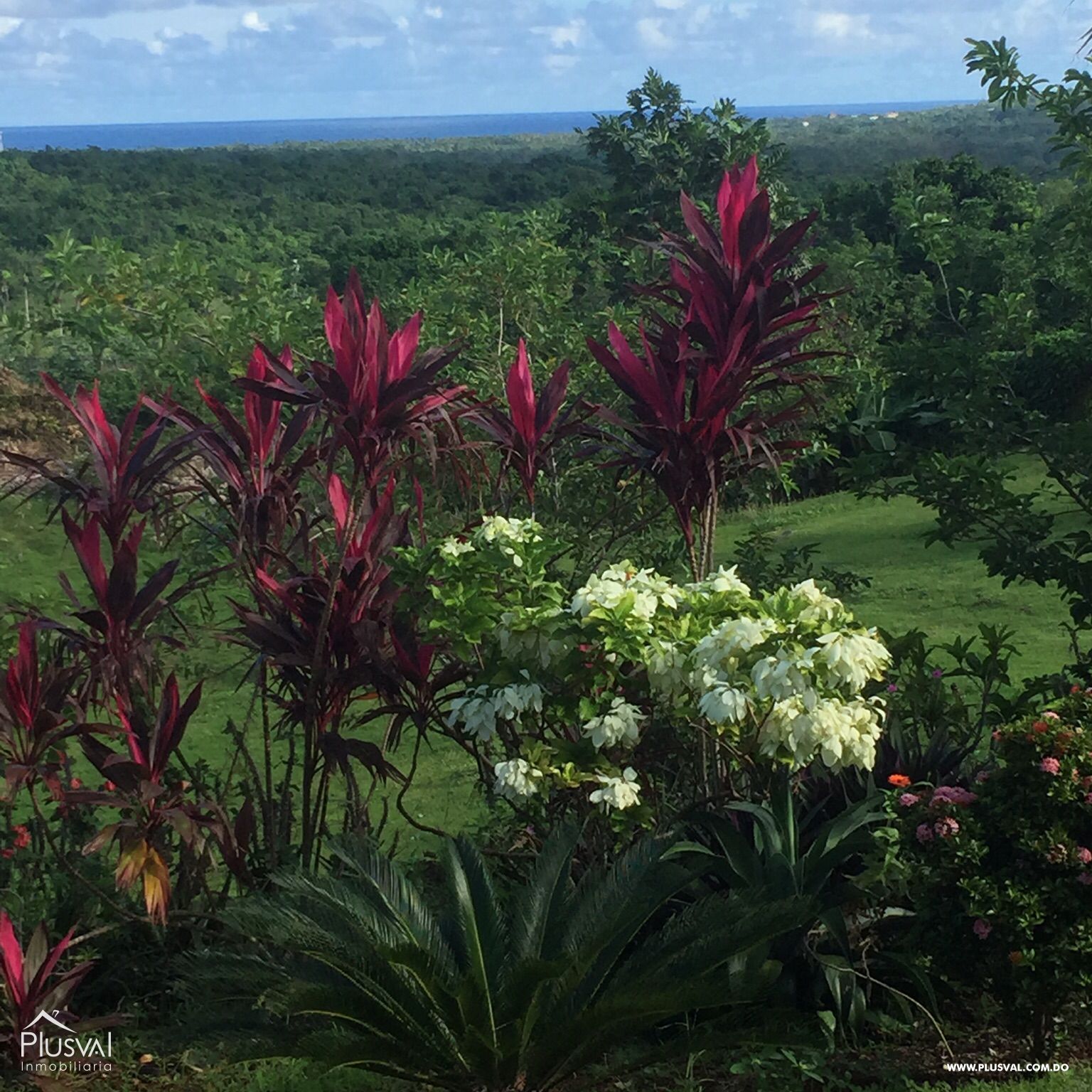 Venta de solar Las Galeras 307796