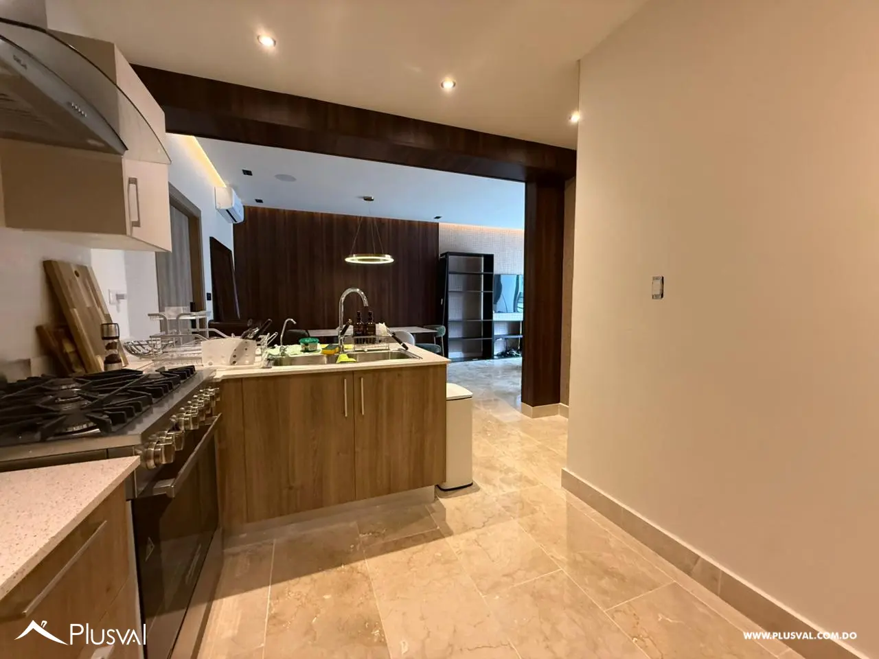 Apartamento en venta de 1 habitación en Serrallés 490890