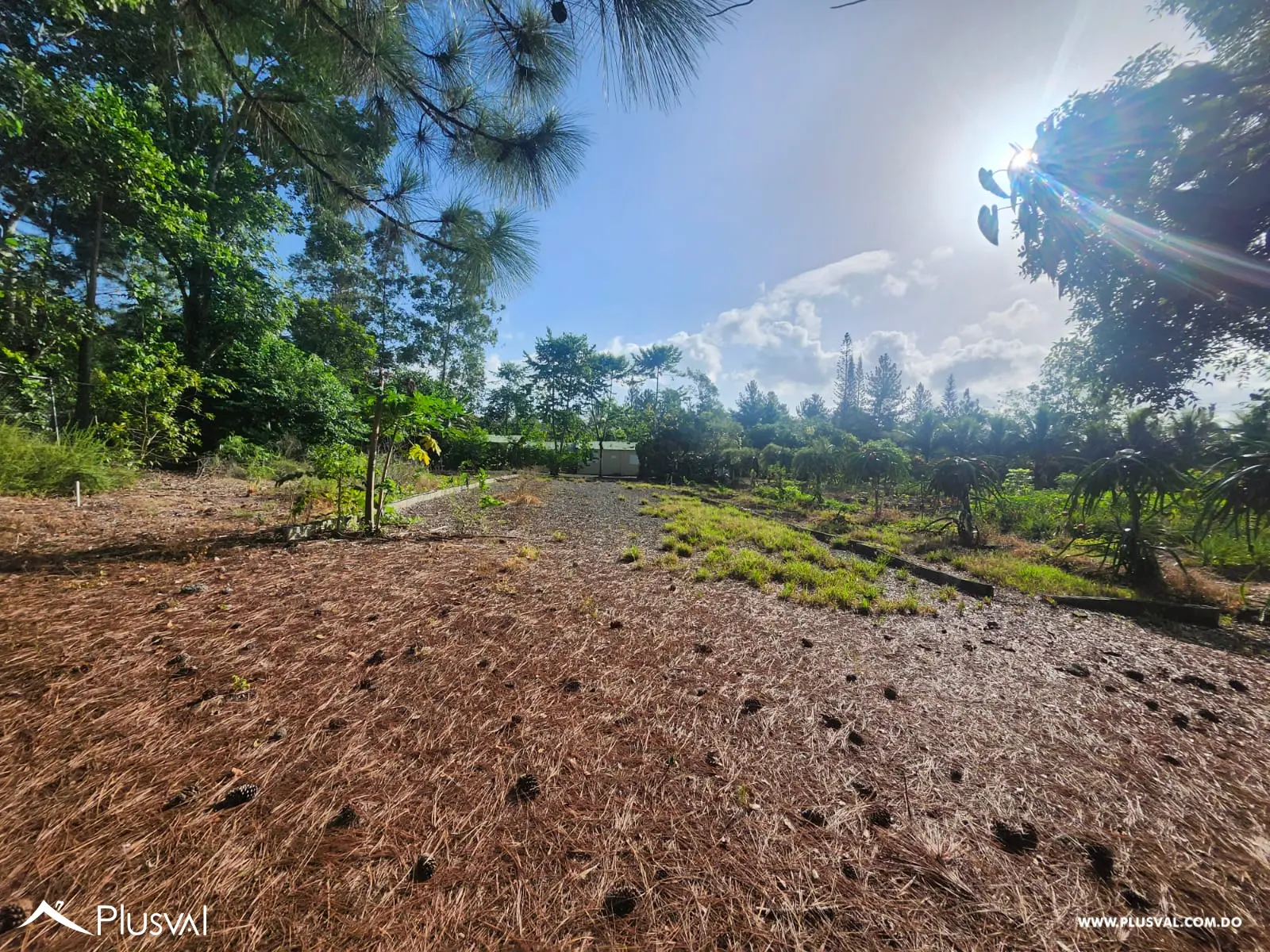 Vendo Excelente Finca en Rancho Los Mogotes- Villa Altagracia 522591