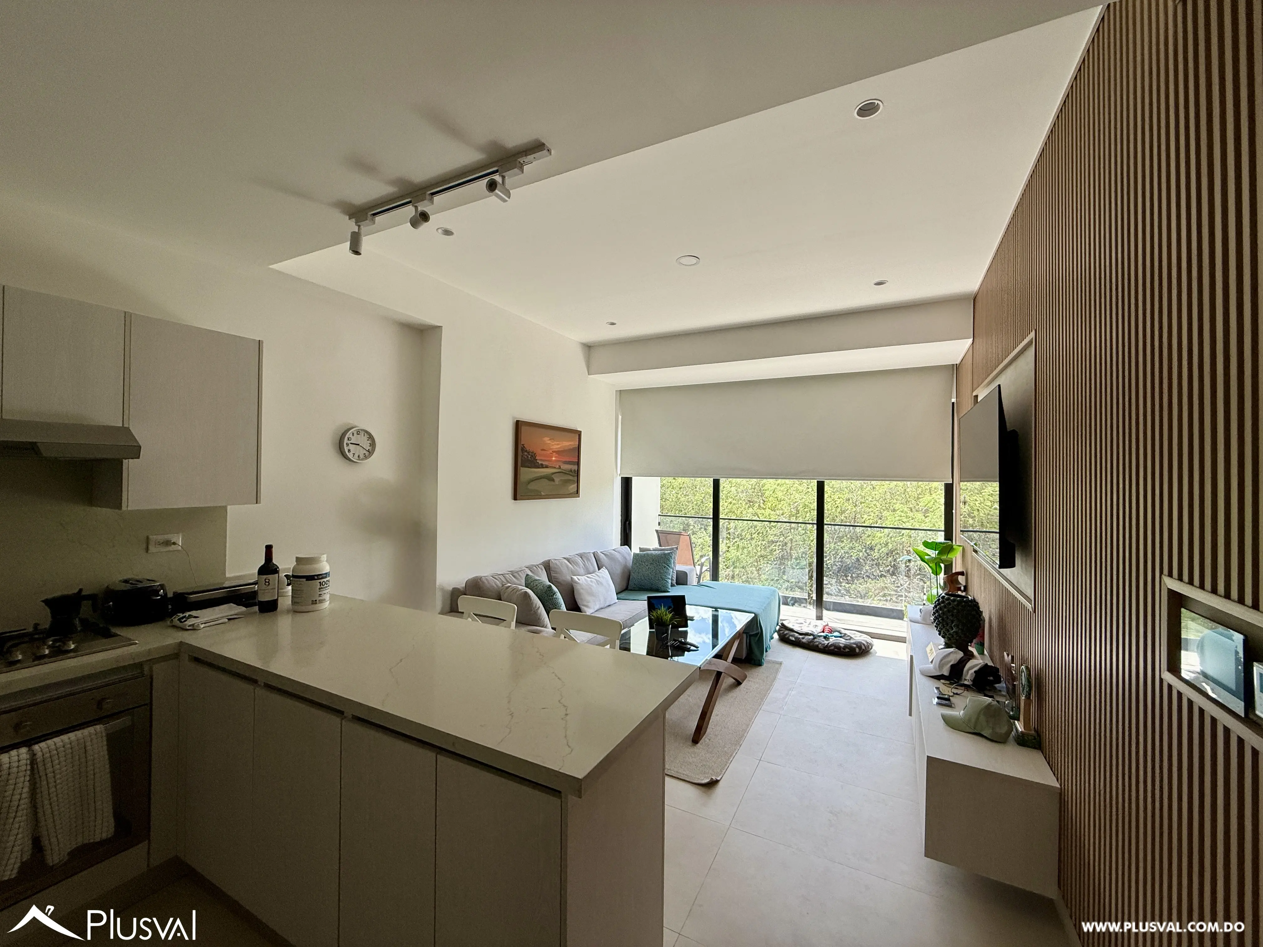 Apartamento de 1 Habitación en Capcana amueblado. 522211