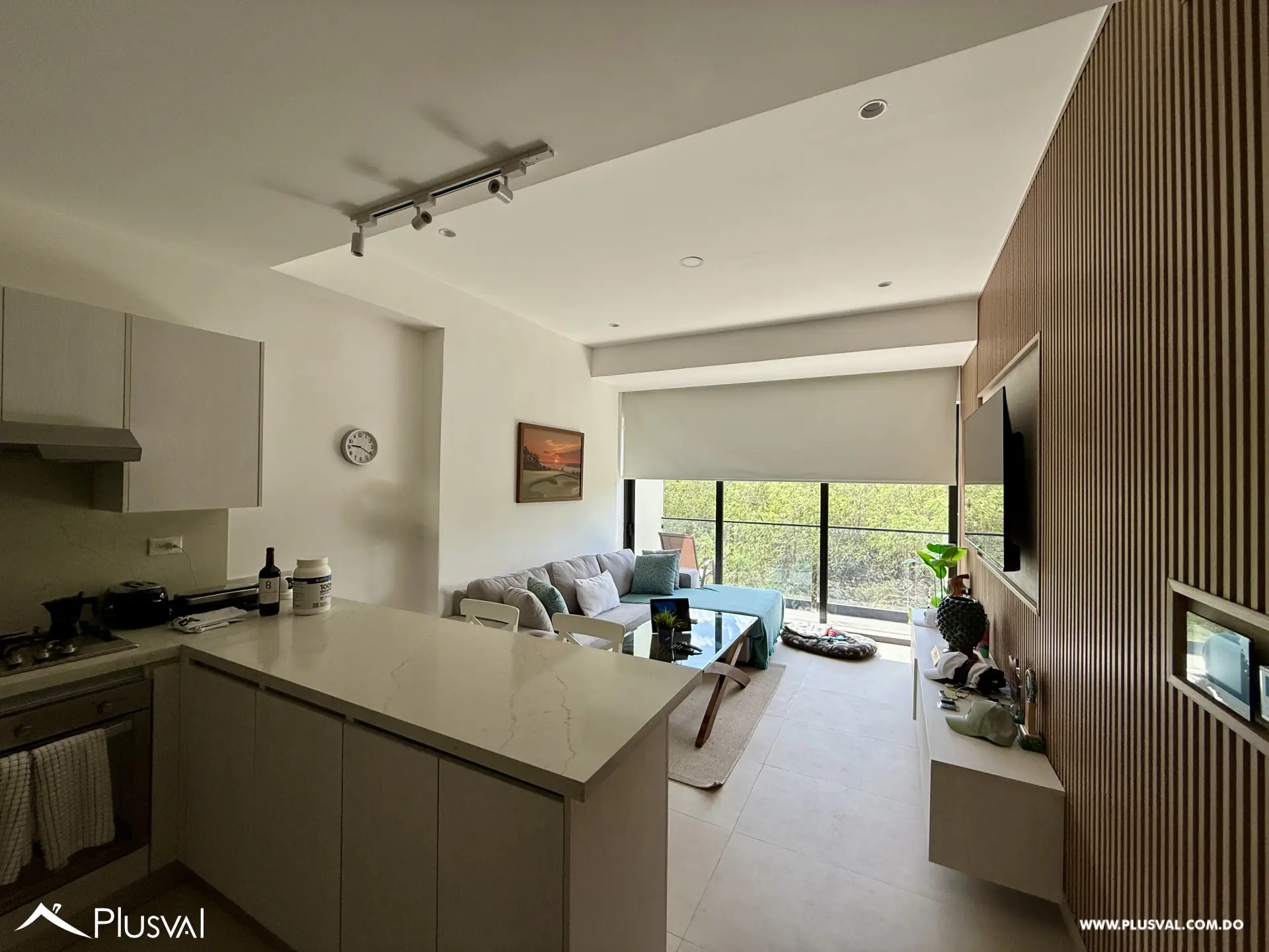 Apartamento de 1 Habitación en Capcana amueblado. 522211