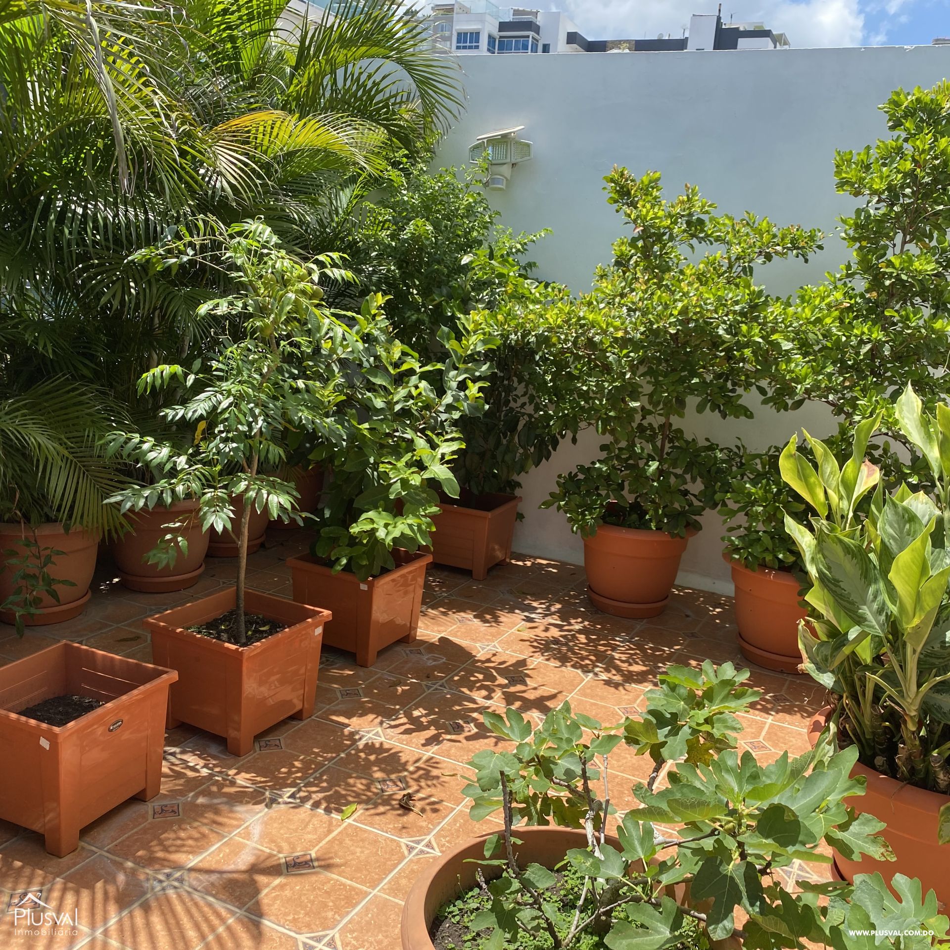 Amplio y fresco Apto clásico con Terraza Privada 366187