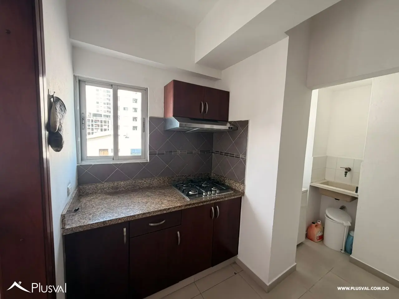 Apartamento en alquiler en Naco 521370