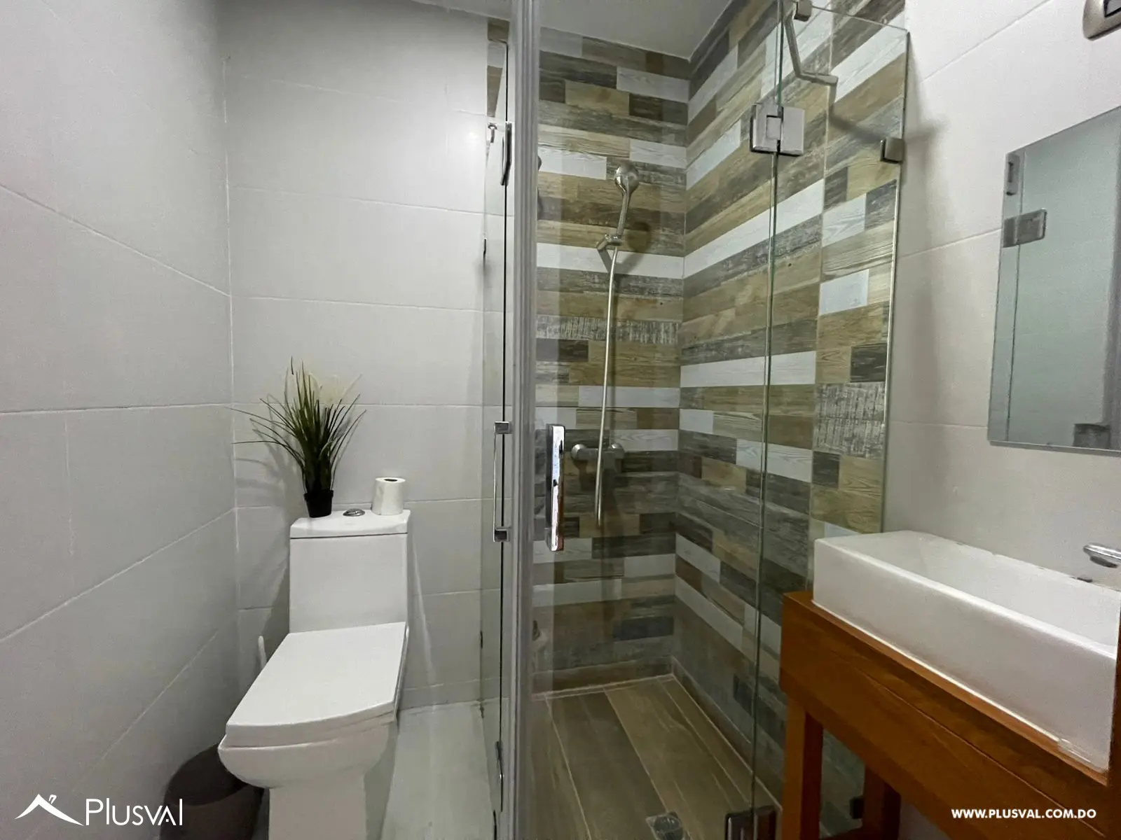 Apartamento en alquiler amueblado en Naco 456857