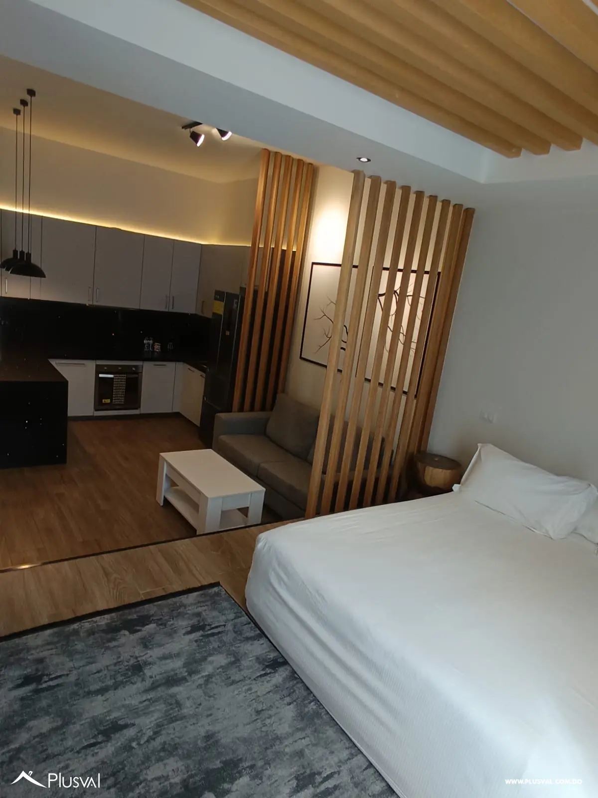 Apartamento Tipo Condo Hotel de 1 Habitacion 470067