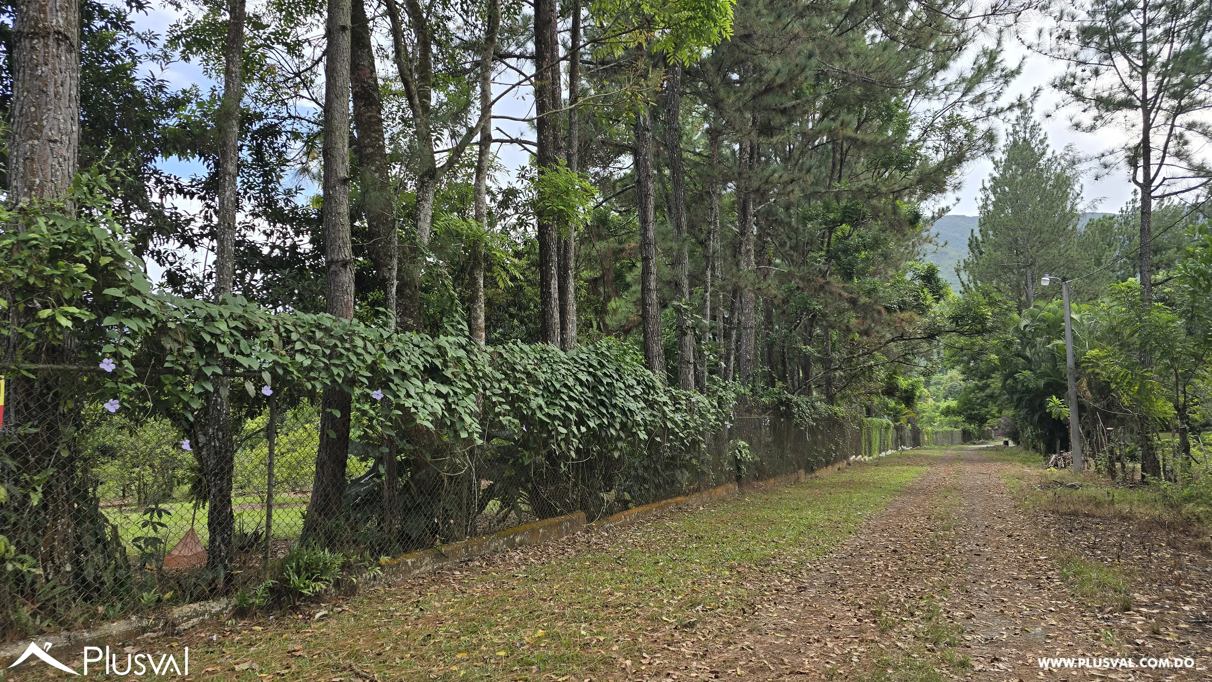 Buscas  contacto con la naturaleza para pasar tiempo en familia, cultivar tus propias hortalizas y frutos? 459887