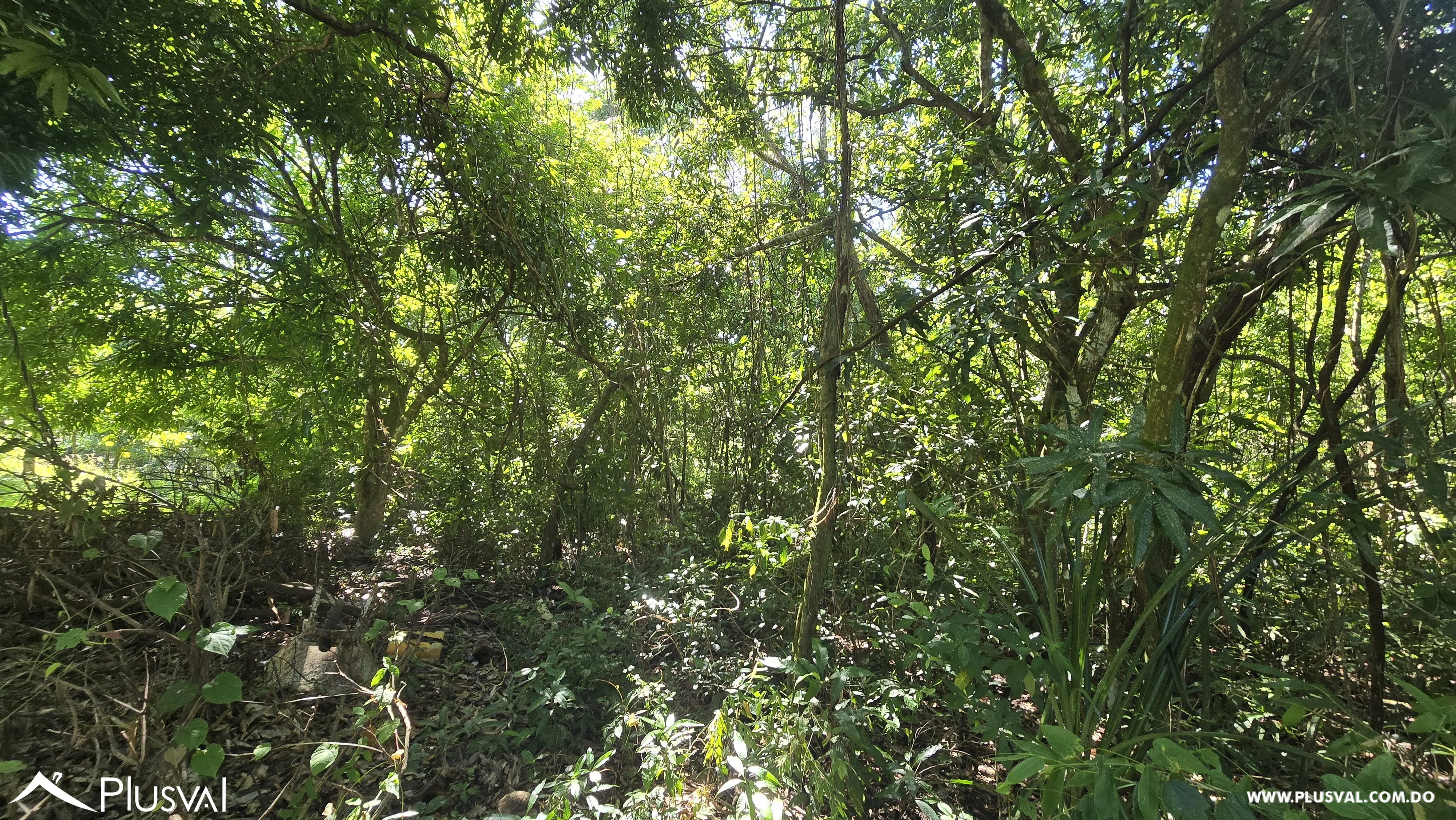 Oportunidad de inversion: Solar en vacacional matua. 486342