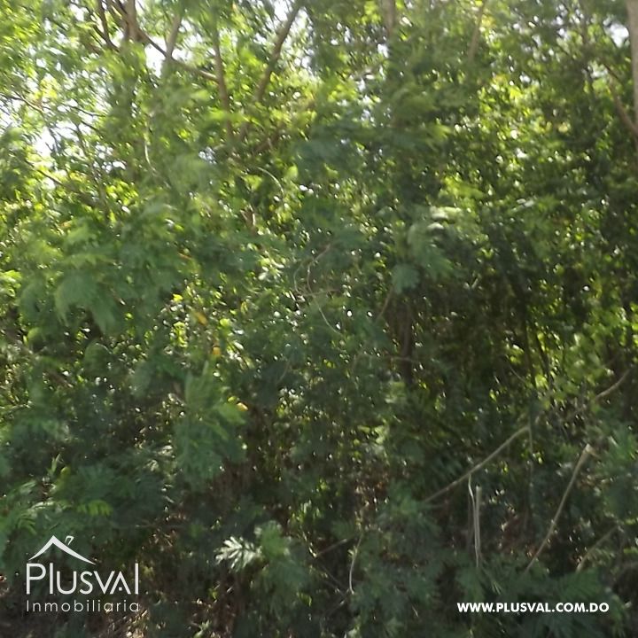 Venta de Solar En Playa Nueva Romana 358661