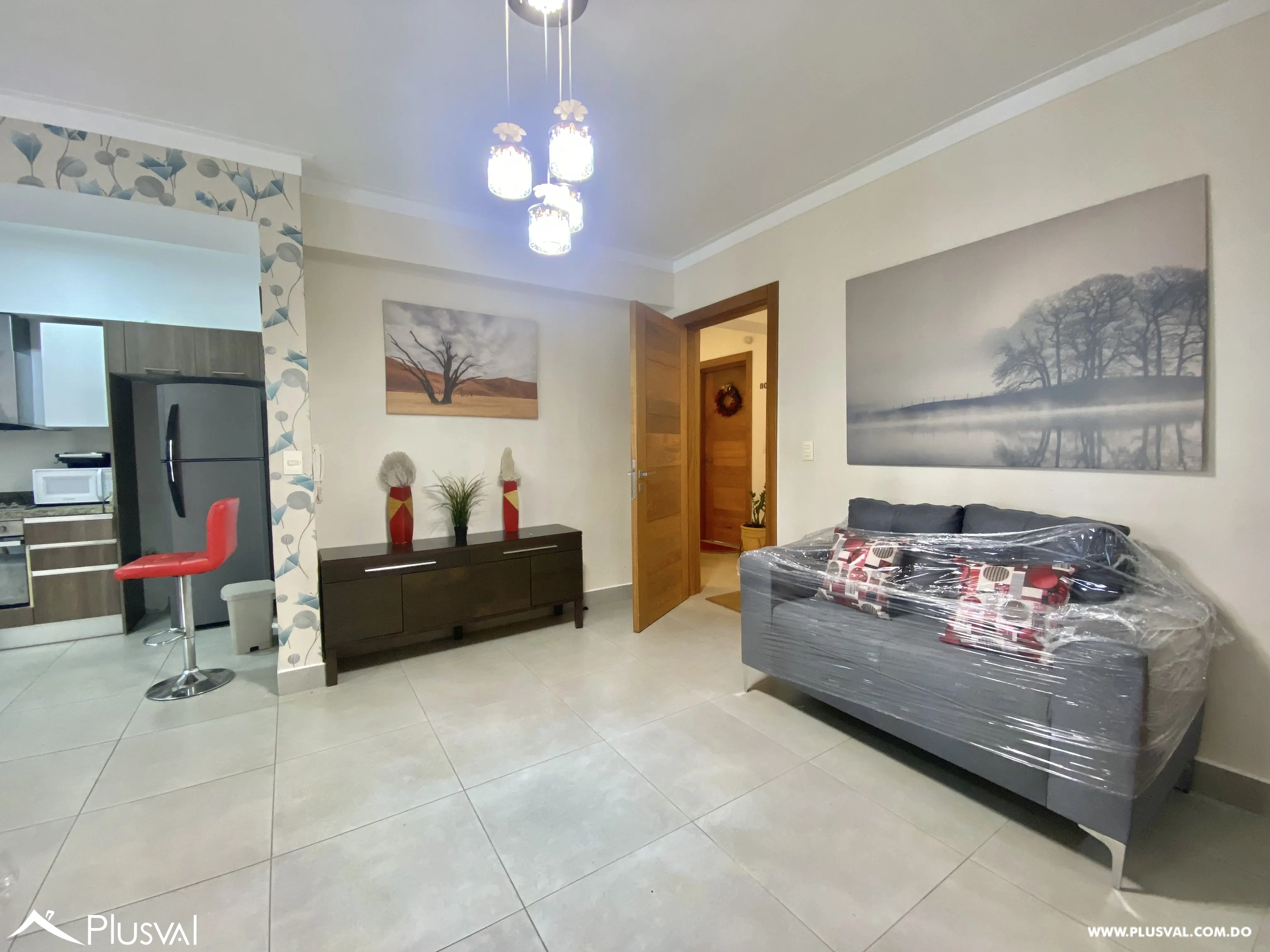 Excelente Apartamento Amueblado en Alquiler 476043