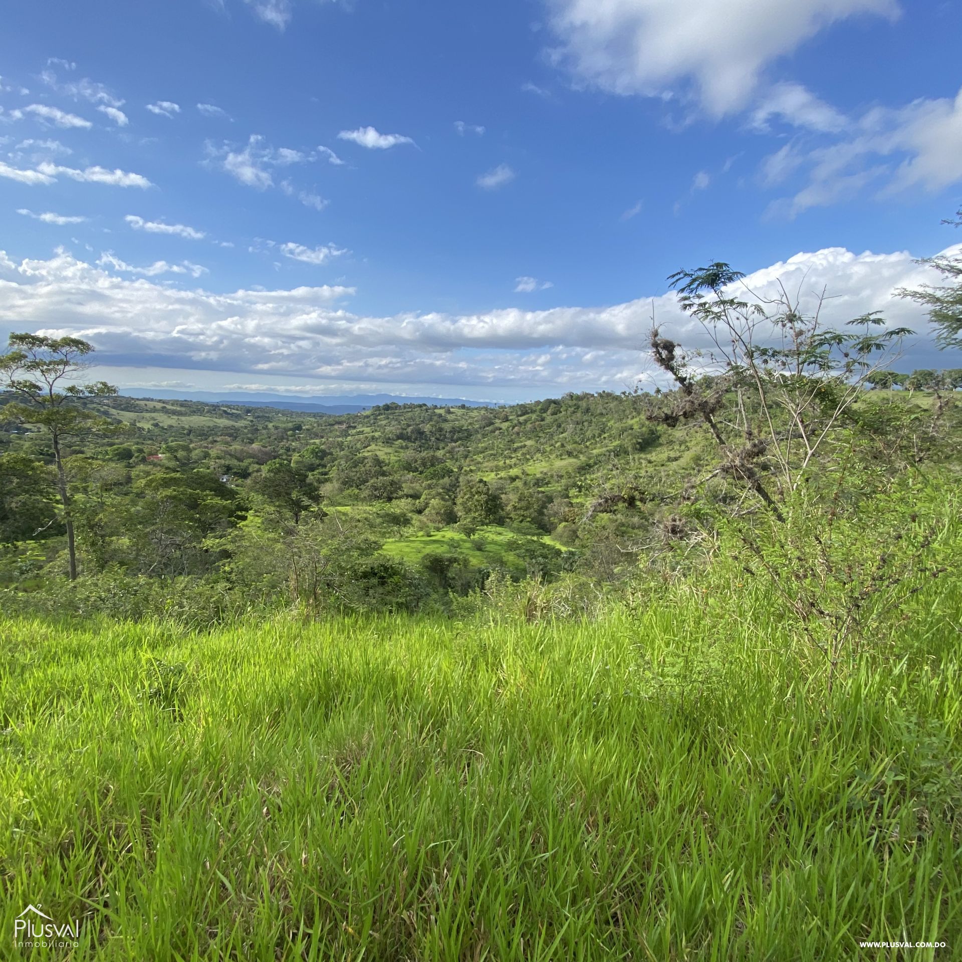 Finca Ganadera en Sajoma 353033