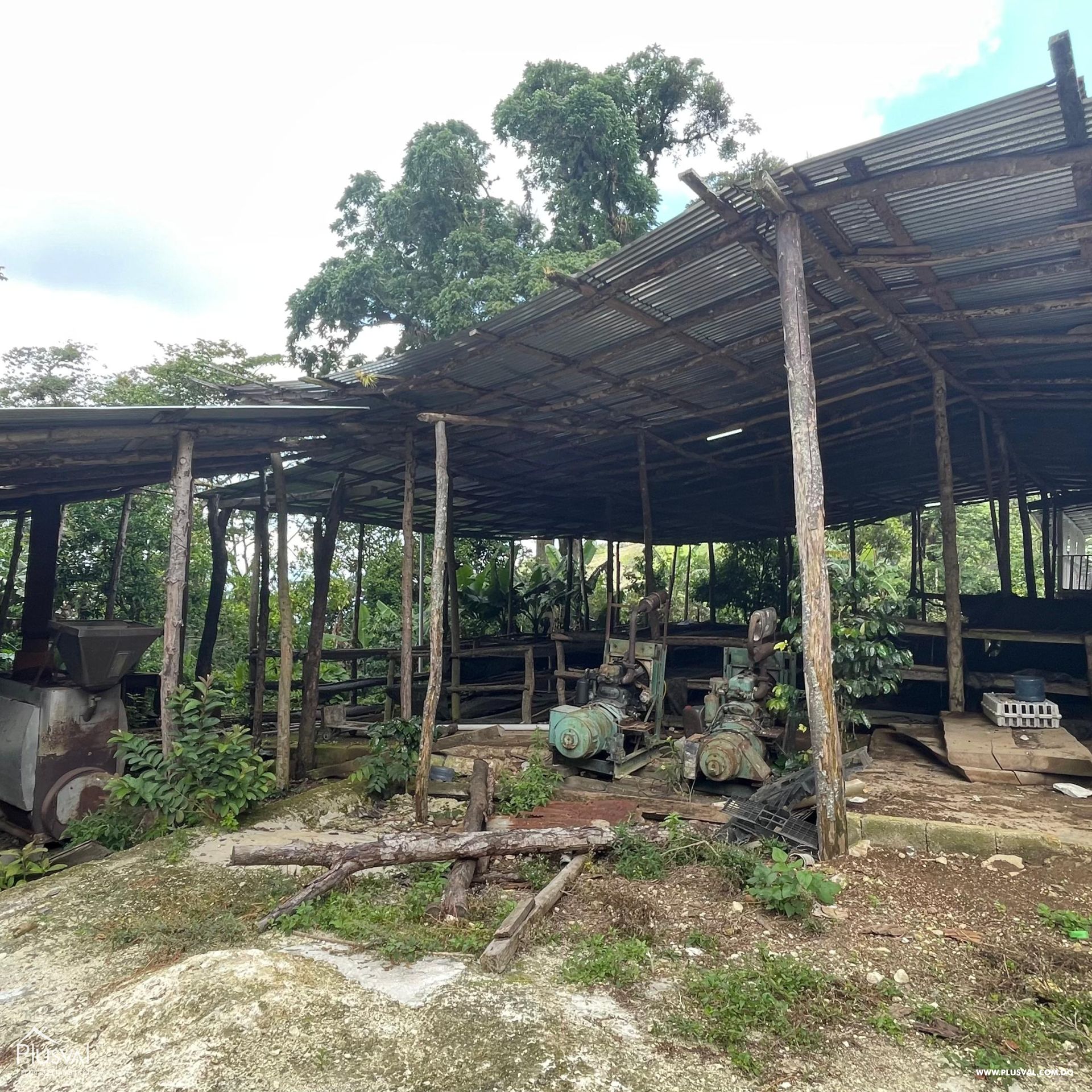 Vendo Terreno en las Guazaras Barahona 439227