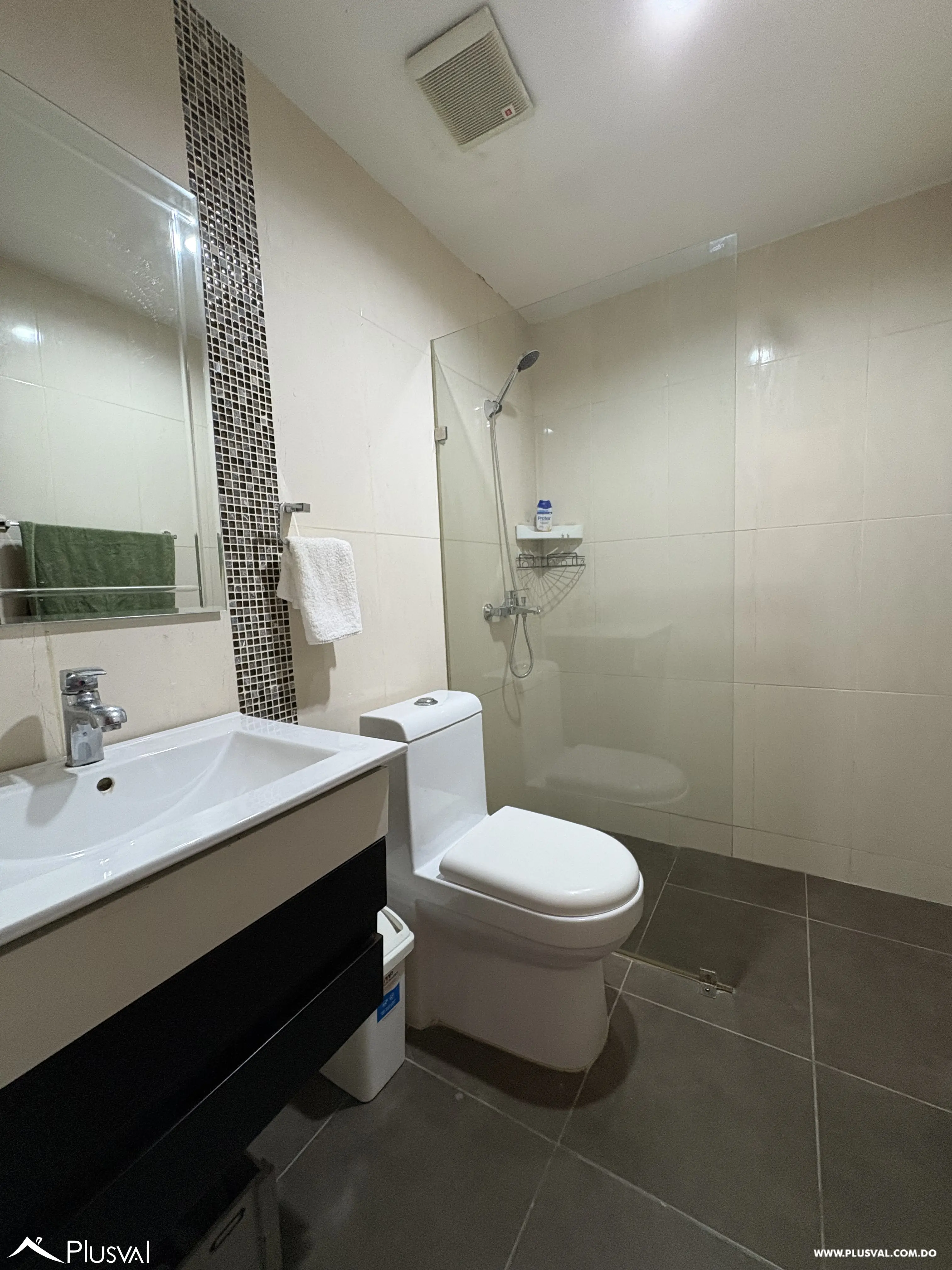 Apartamento amueblado en Alquiler, de 1 habitación en Piantini. 490903