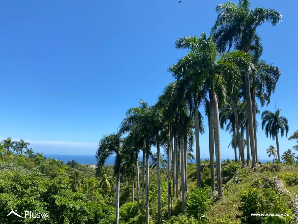 Terreno de 1,517.07 MT2 en Cabrera con impresionante vista al mar 468099