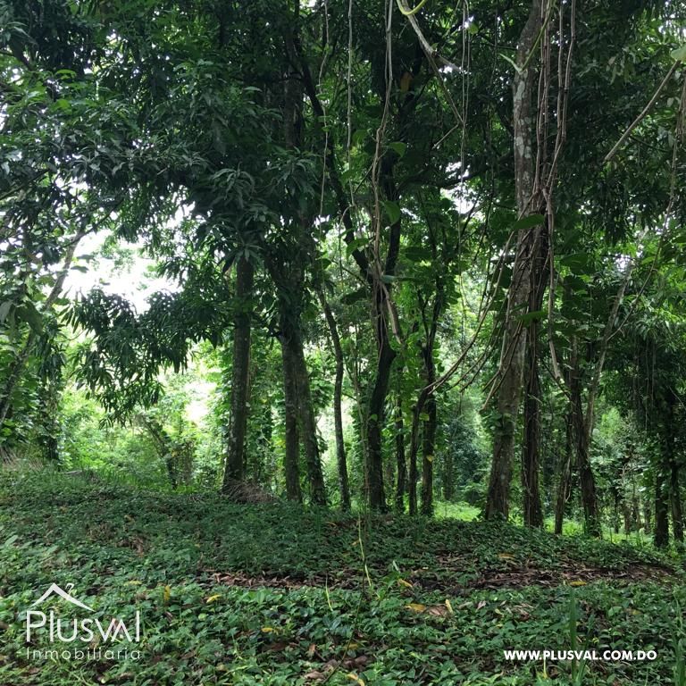 Finca en venta en Pedro Brand 315905