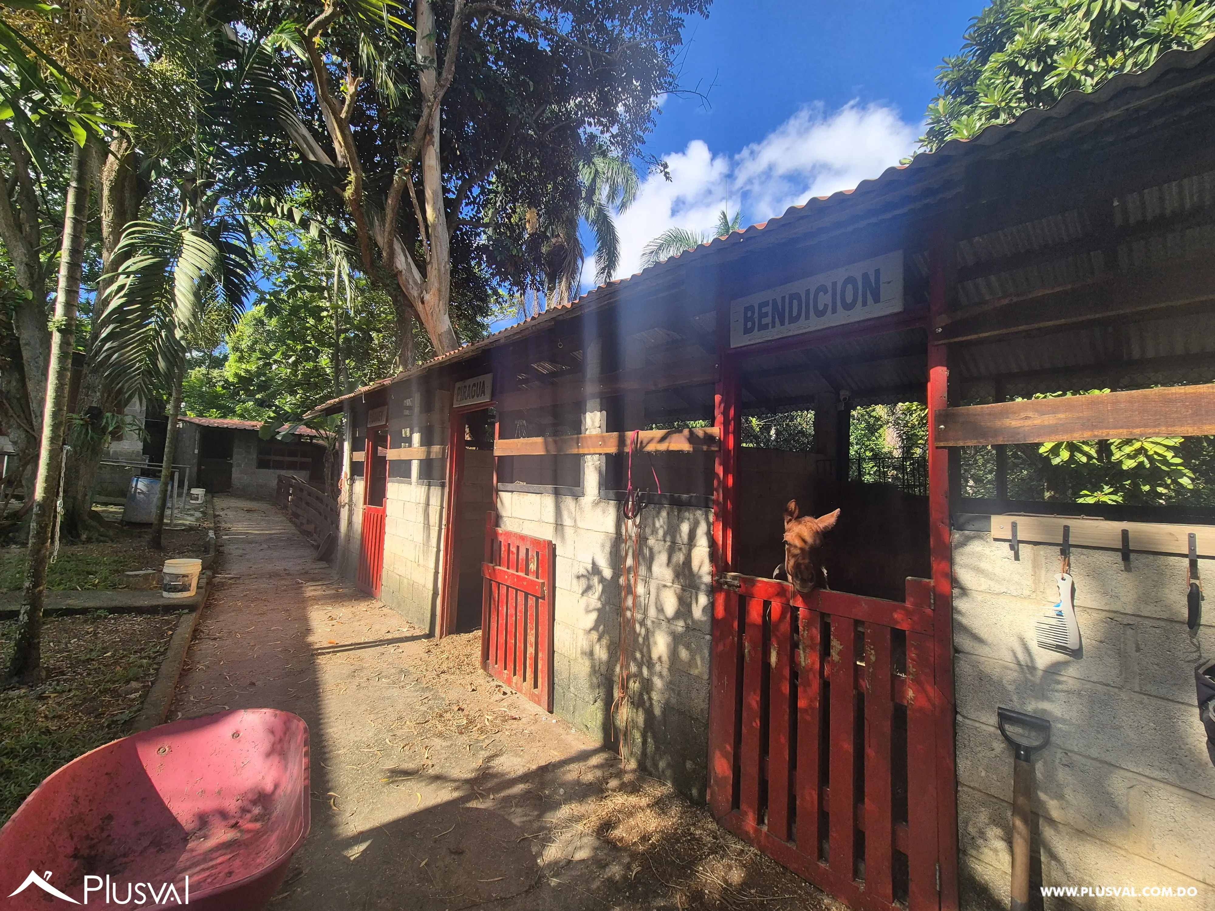 Finca en San Cristóbal 473328