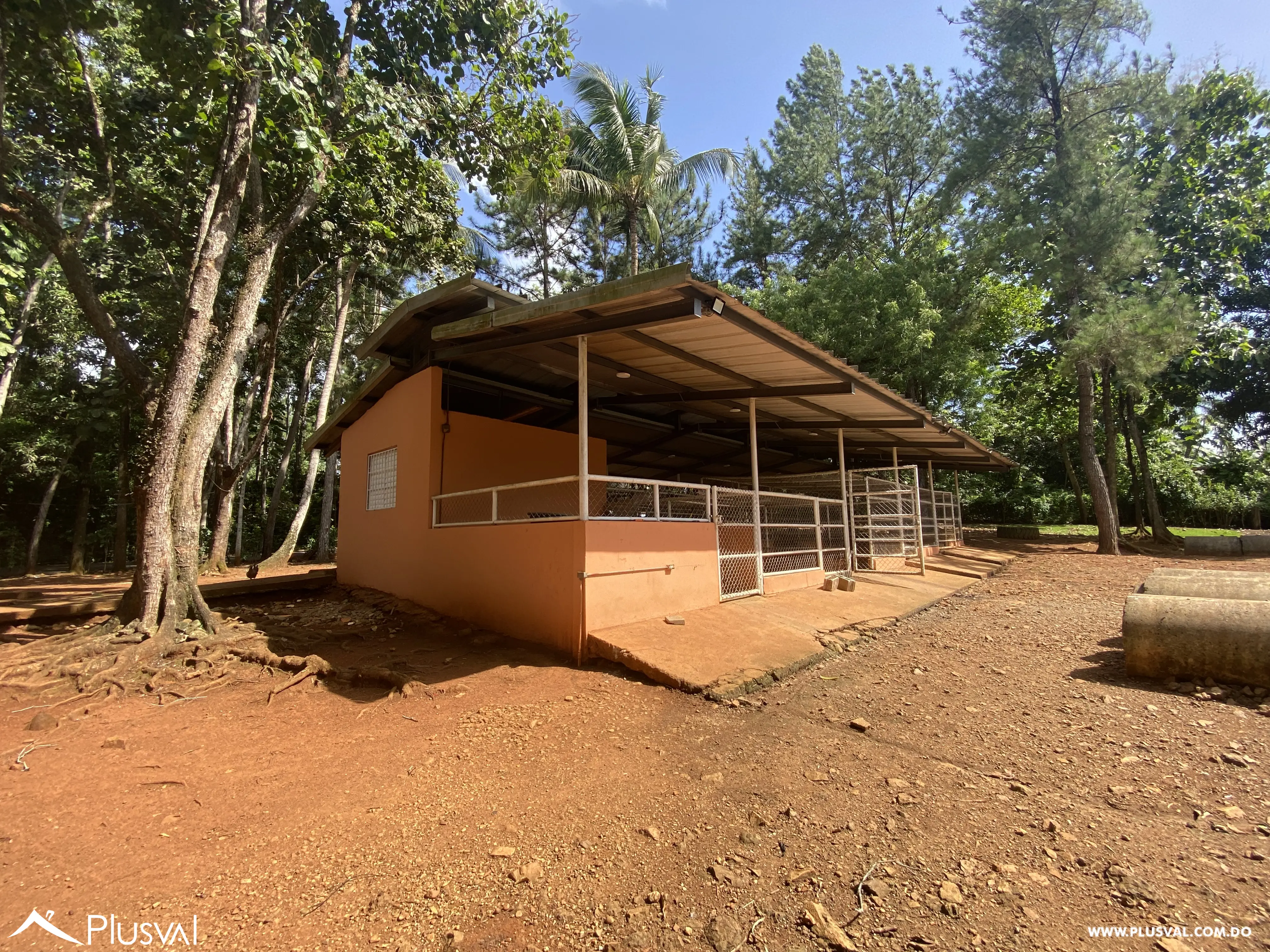 Finca de 106 tareas en Venta, Los Cocos | Pedro Brand 452065