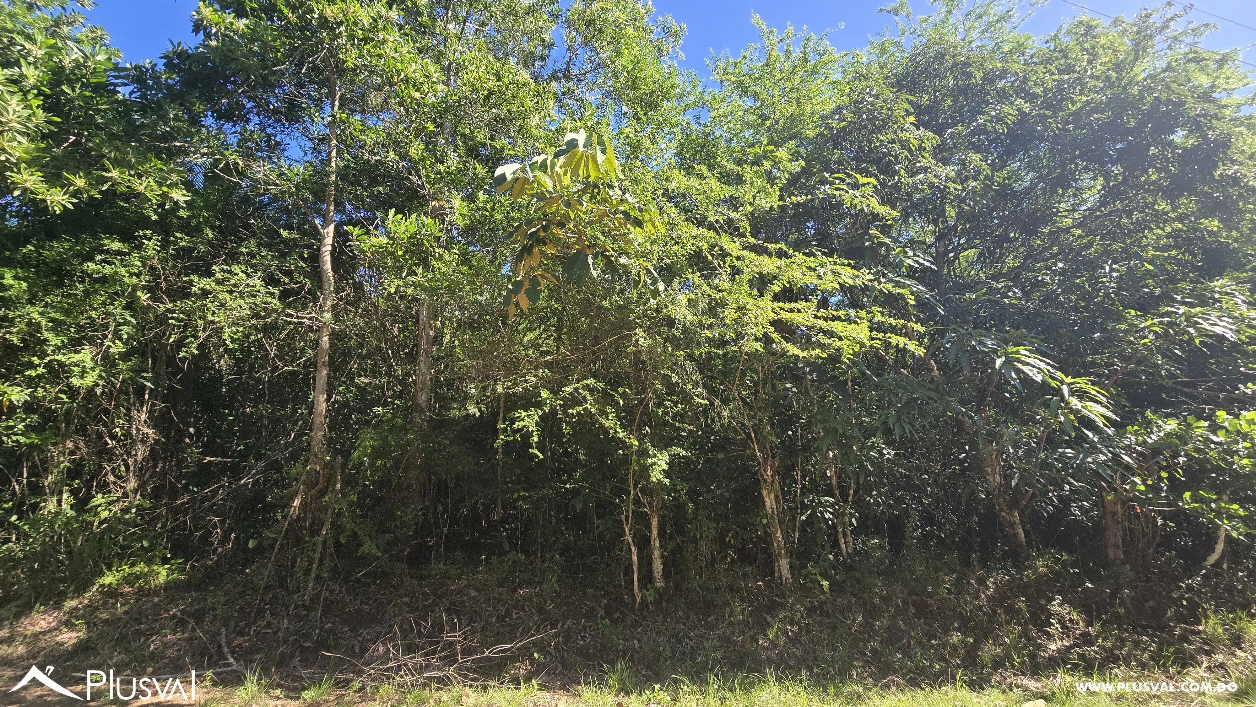 Oportunidad de inversion: Solar en vacacional matua. 485889