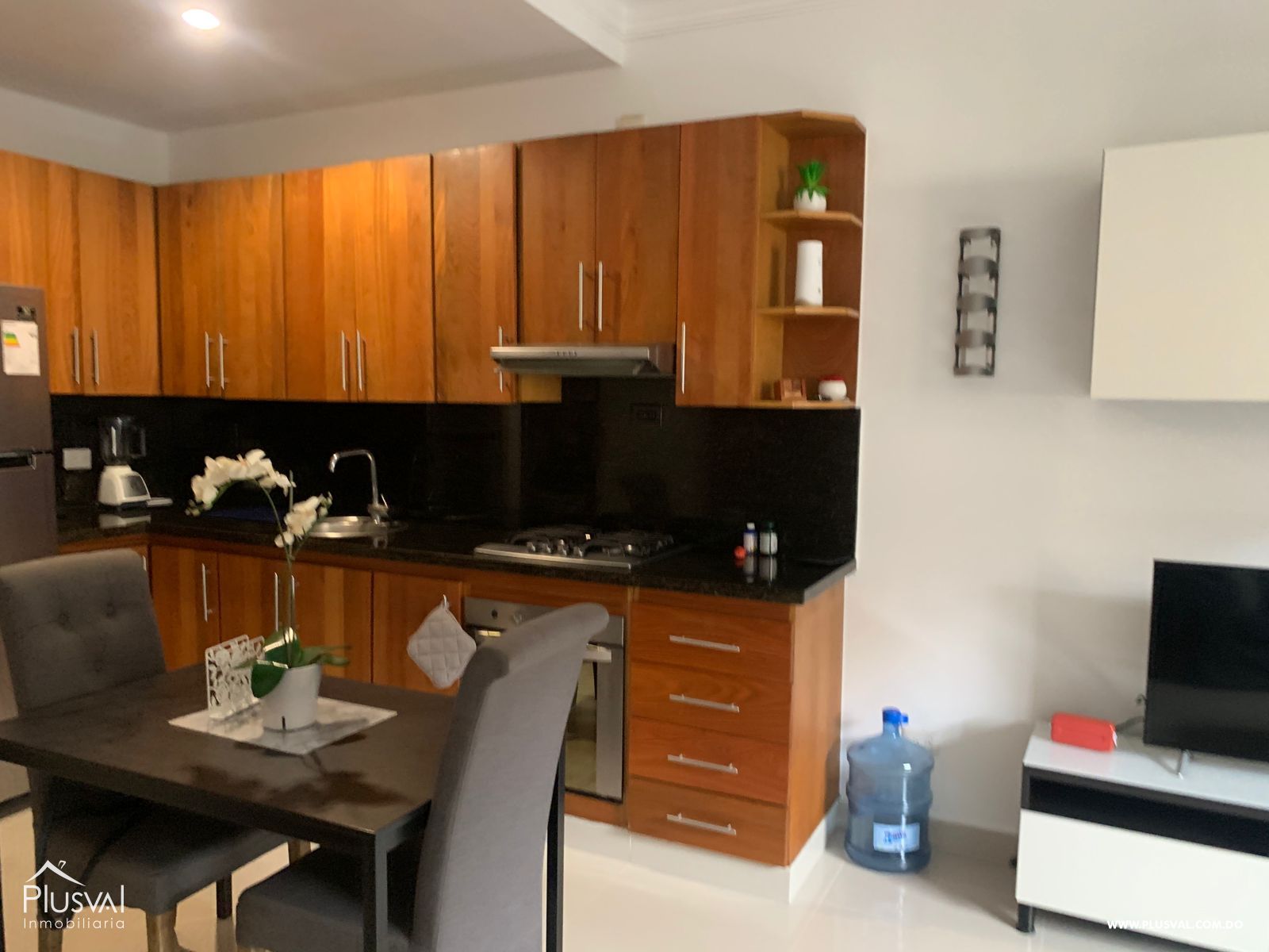 Apartamento amueblado de 1 habitación en Piantini, alquiler 194974