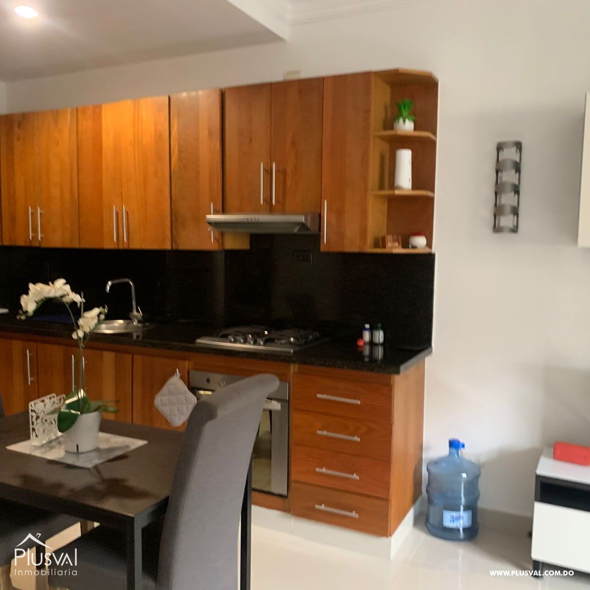Apartamento amueblado de 1 habitación en Piantini, alquiler 194974
