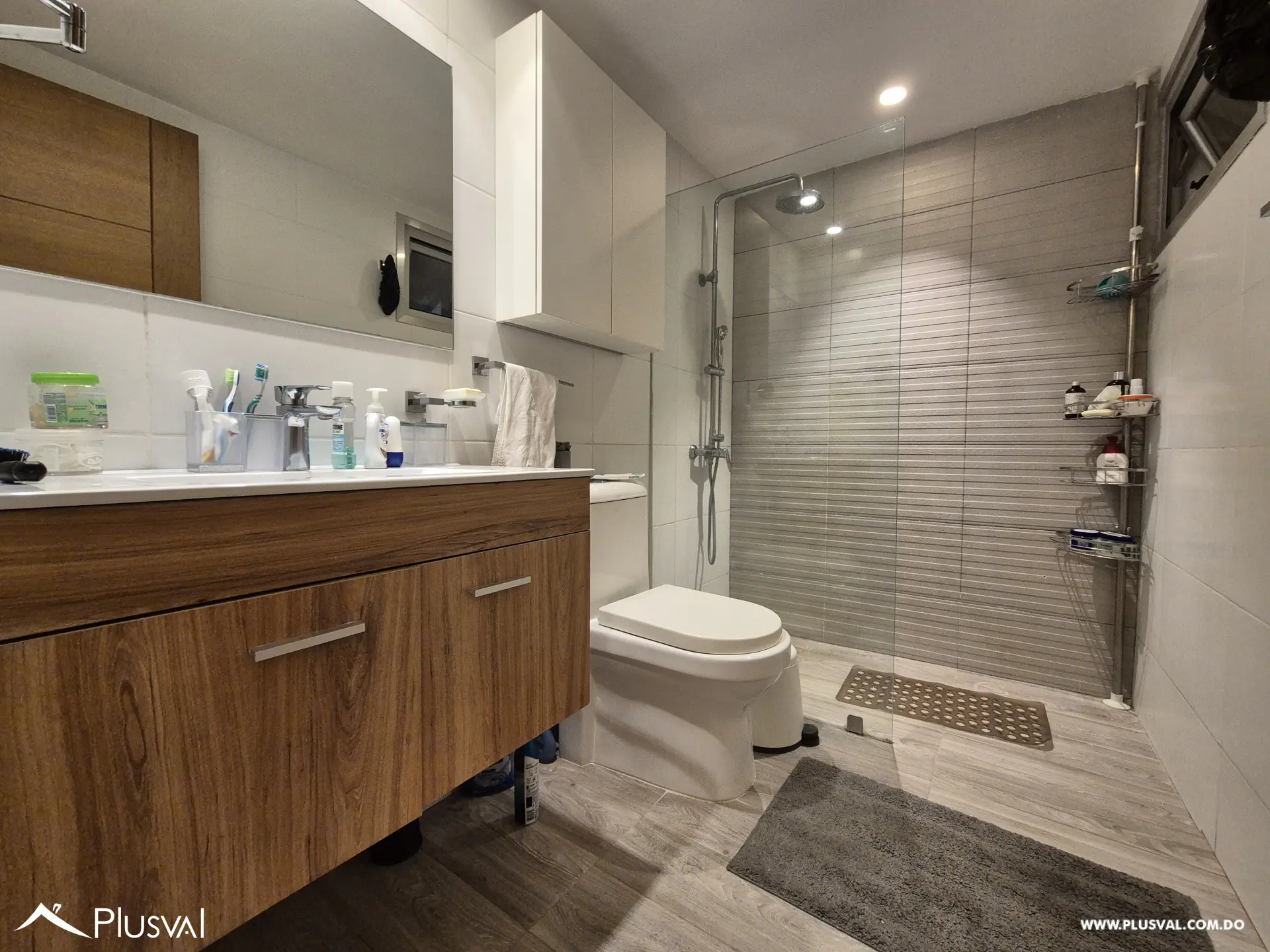 Apartamento en alquiler amueblado en Evaristo Morales 470324