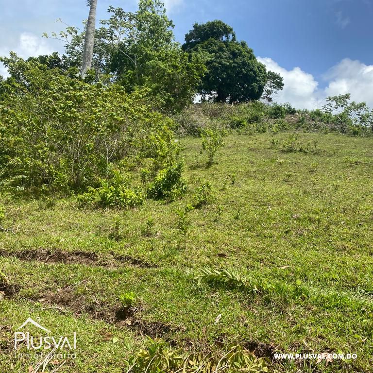 Terreno en Venta en Las Terrenas - Samaná | 190,930 m² Naturaleza y Altitud 313401