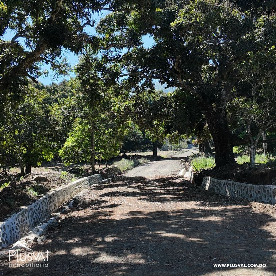 Proyecto de lotes con vista y mucha naturaleza en Jarabacoa 425312