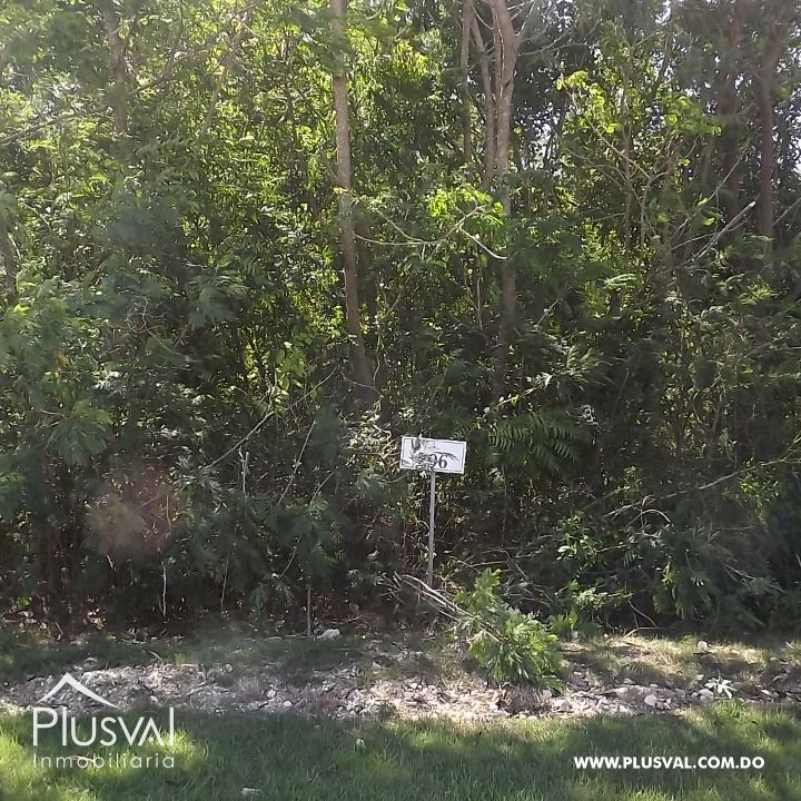 Venta de Solar En Playa Nueva Romana 358653