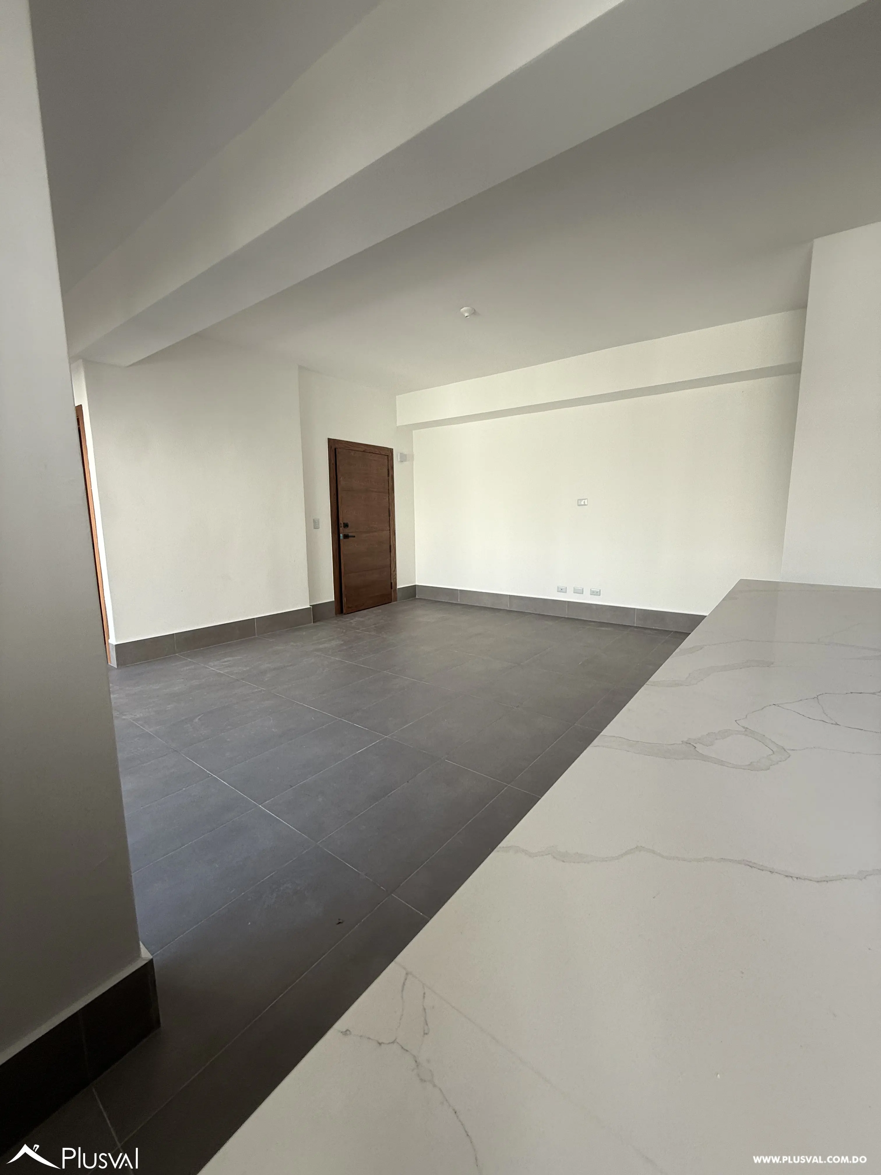 Apartamento de 1 habitacion en Piantini 481363