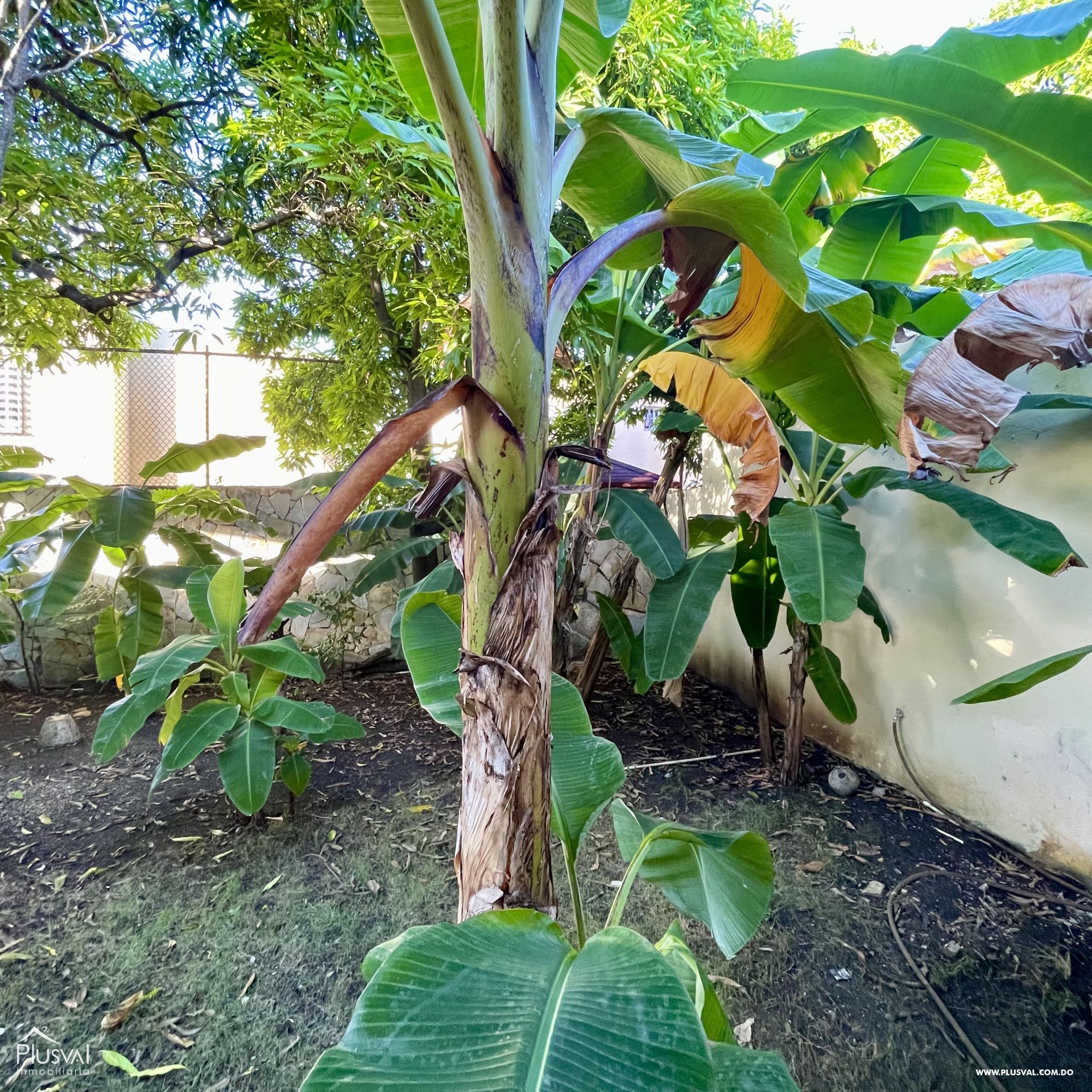Casa en Venta En Las Praderas 405632