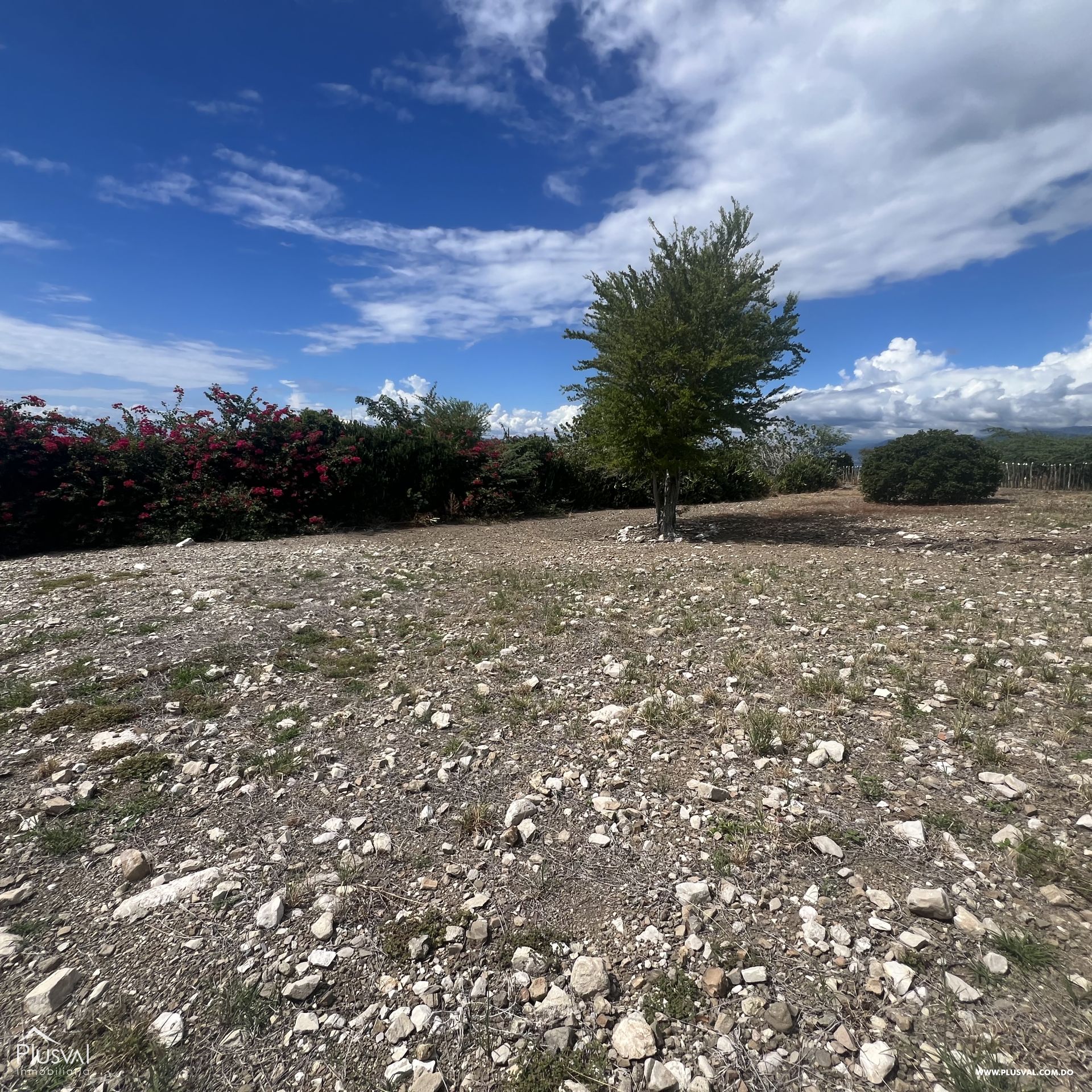 Solar en venta en Palmar de Ocoa 360811