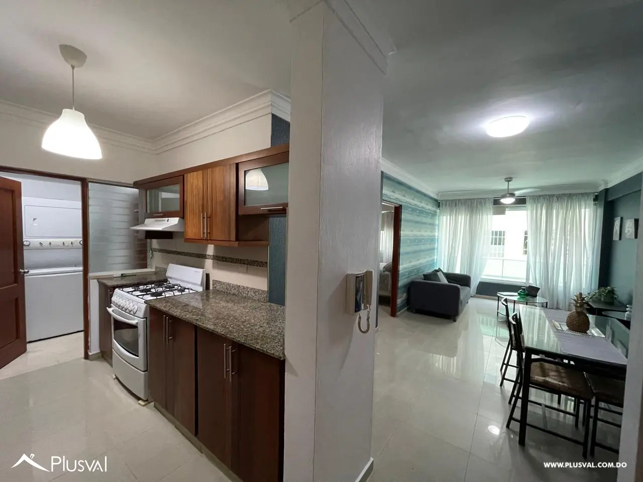 Apartamento amueblado en alquiler, Gazcue 471341