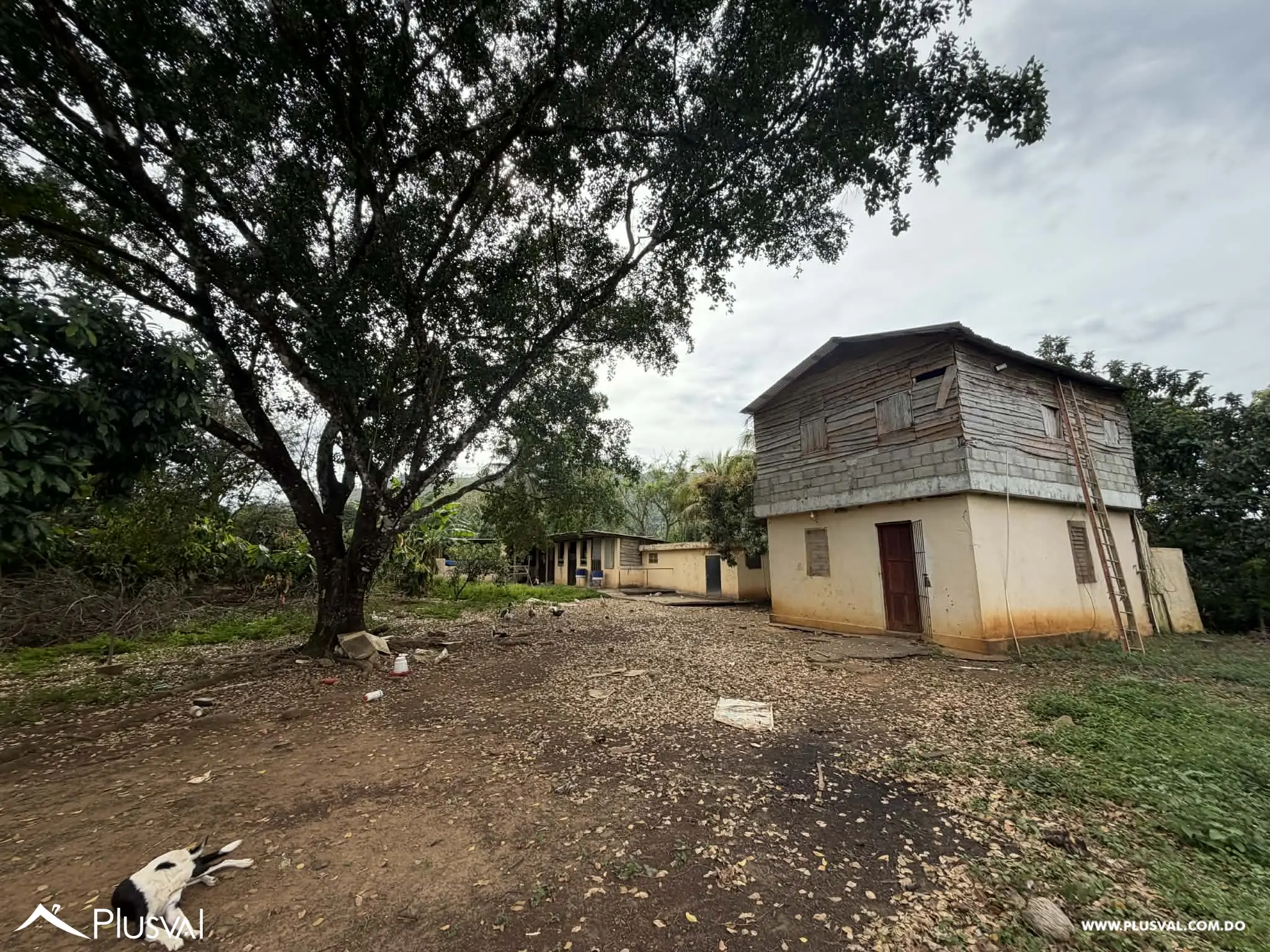 Hermosa Finca en Bonao en venta 496755