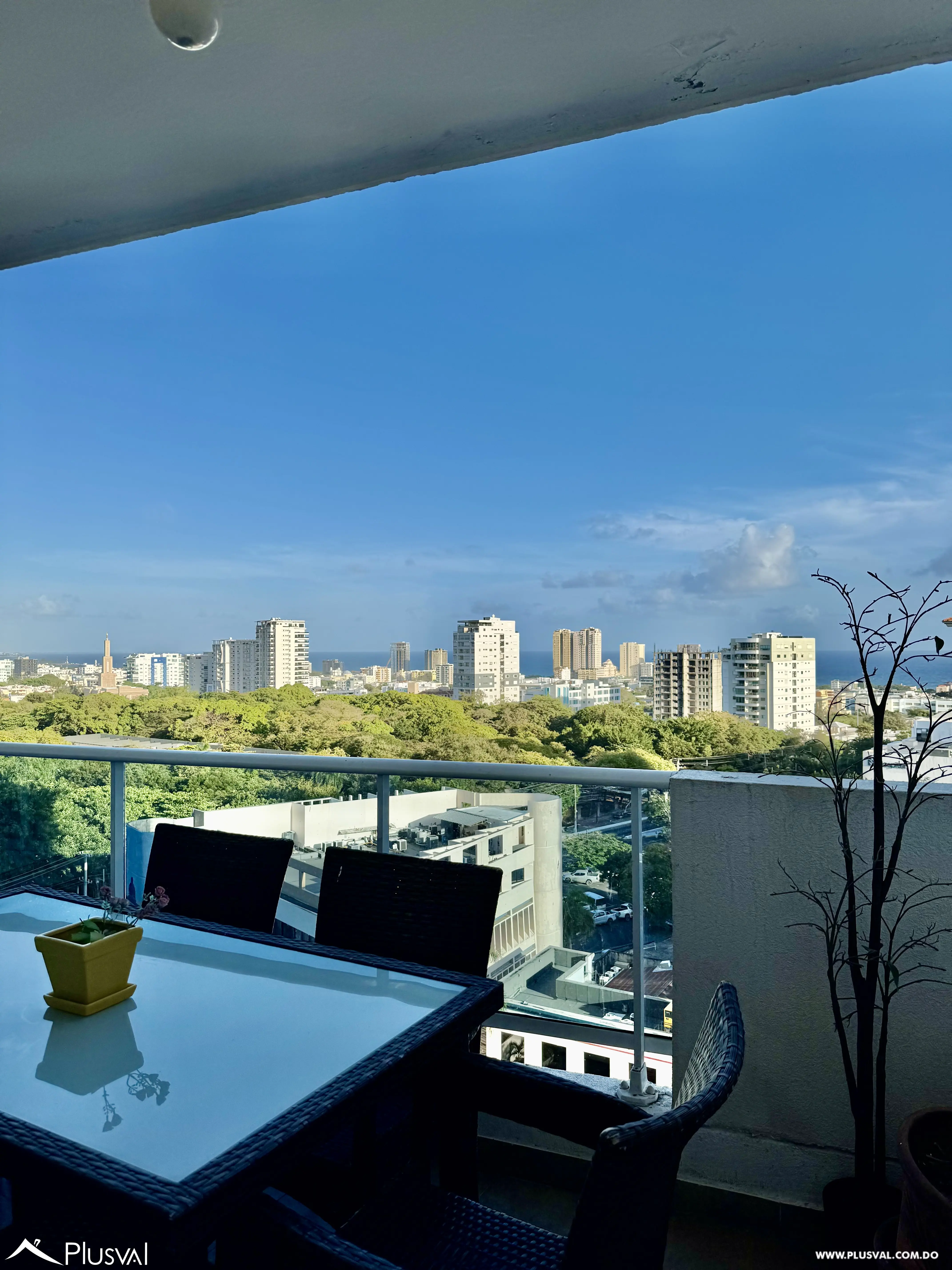 Alquilo Amplio y Maravilloso Apto. en una de las Zonas mas Exclusivas de La Esperilla 490519