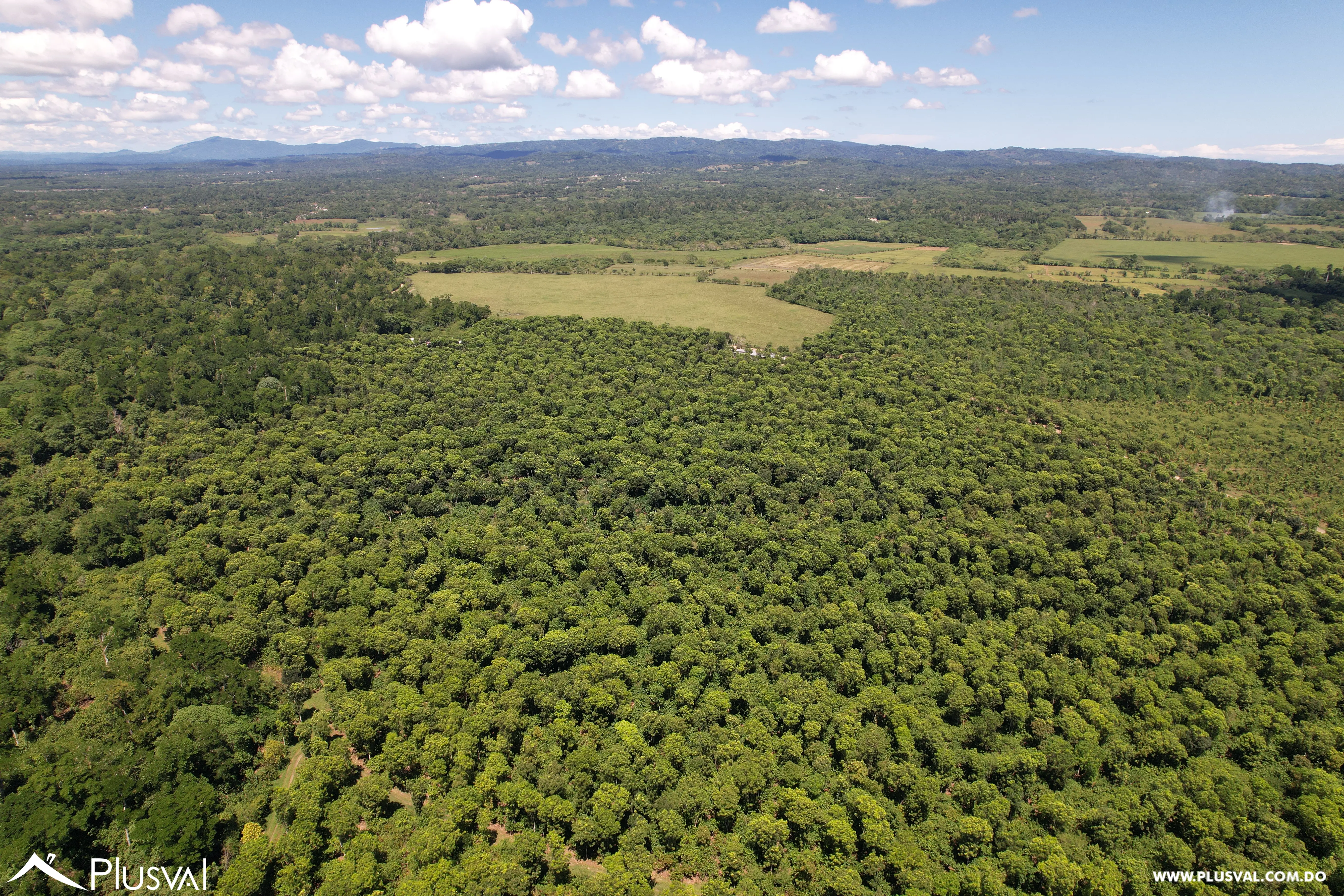 Finca de Cacao Orgánico Certificado en Venta en San Francisco de Macoris 506968