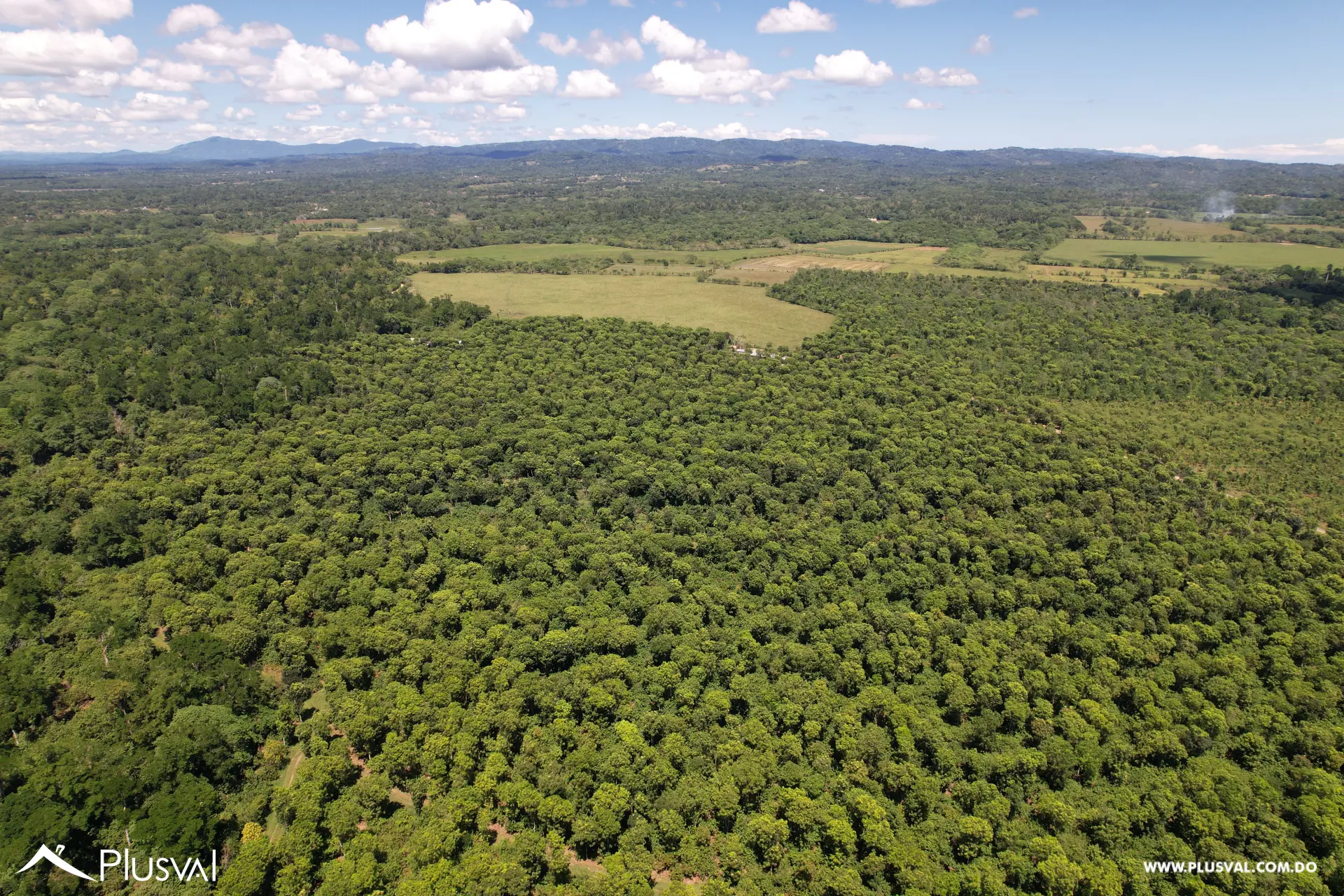 Finca de Cacao Orgánico Certificado en Venta en San Francisco de Macoris 506968